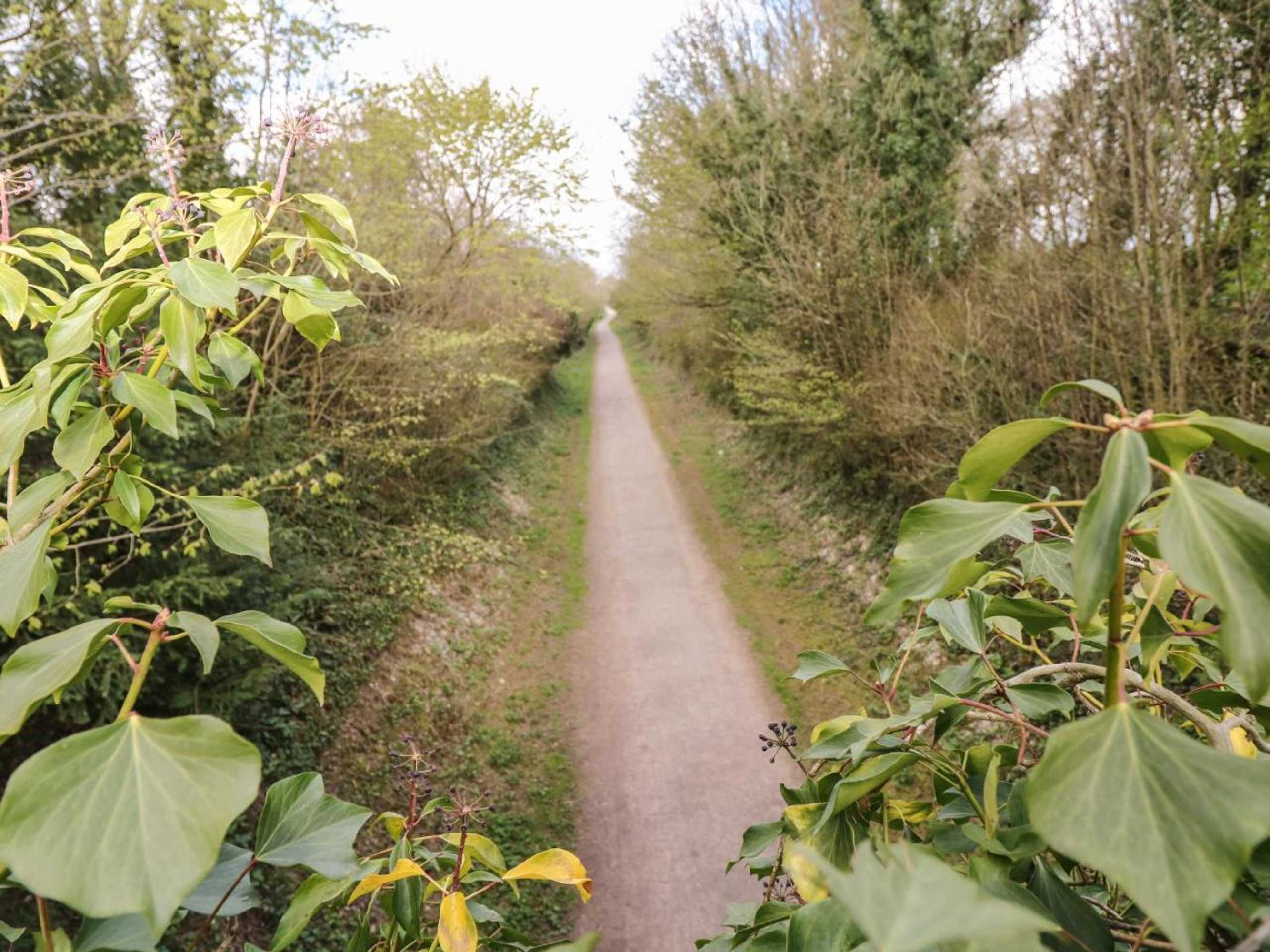 Gift card for Poppy Cottage