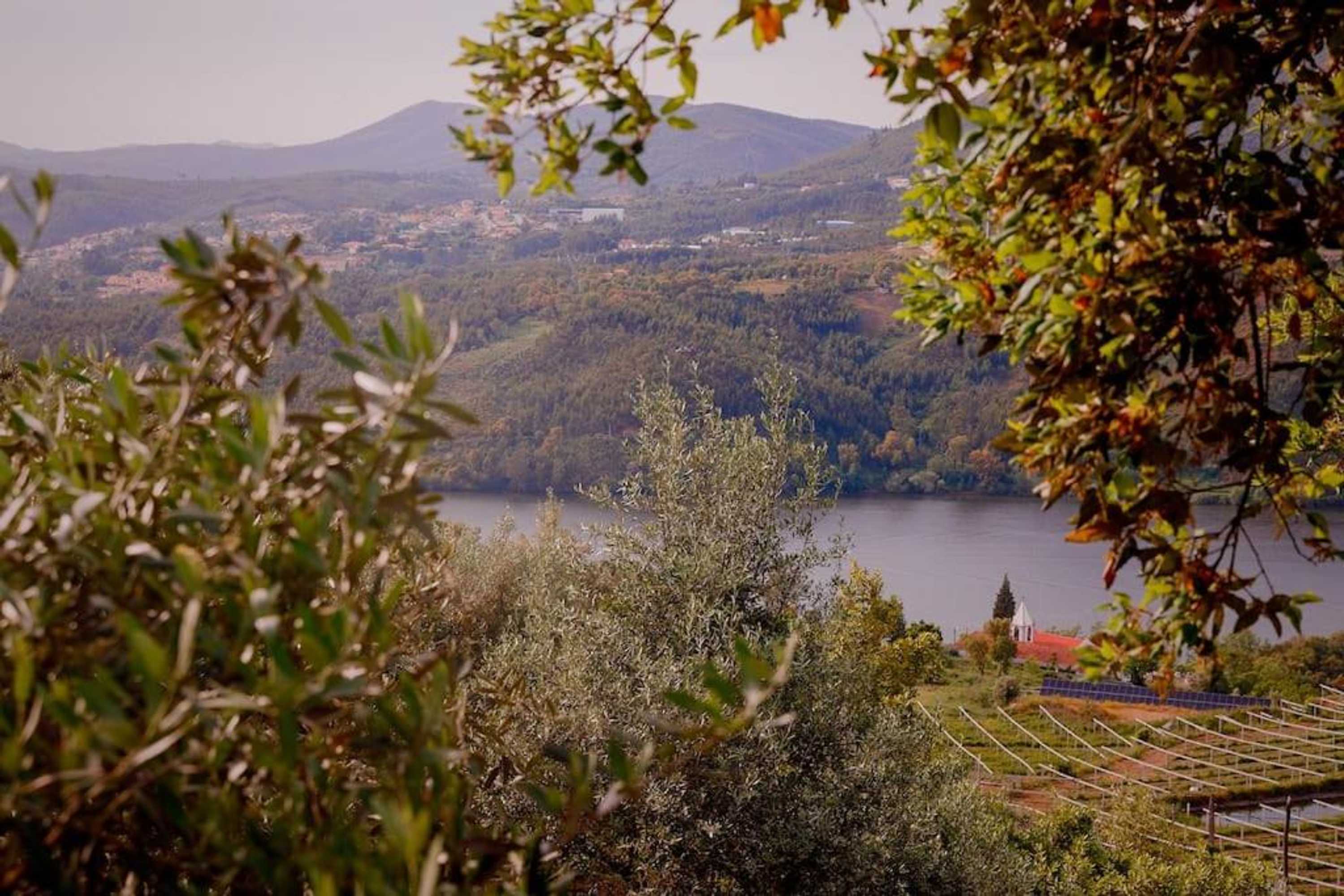 Gift card for Arrabia Bunga Douro