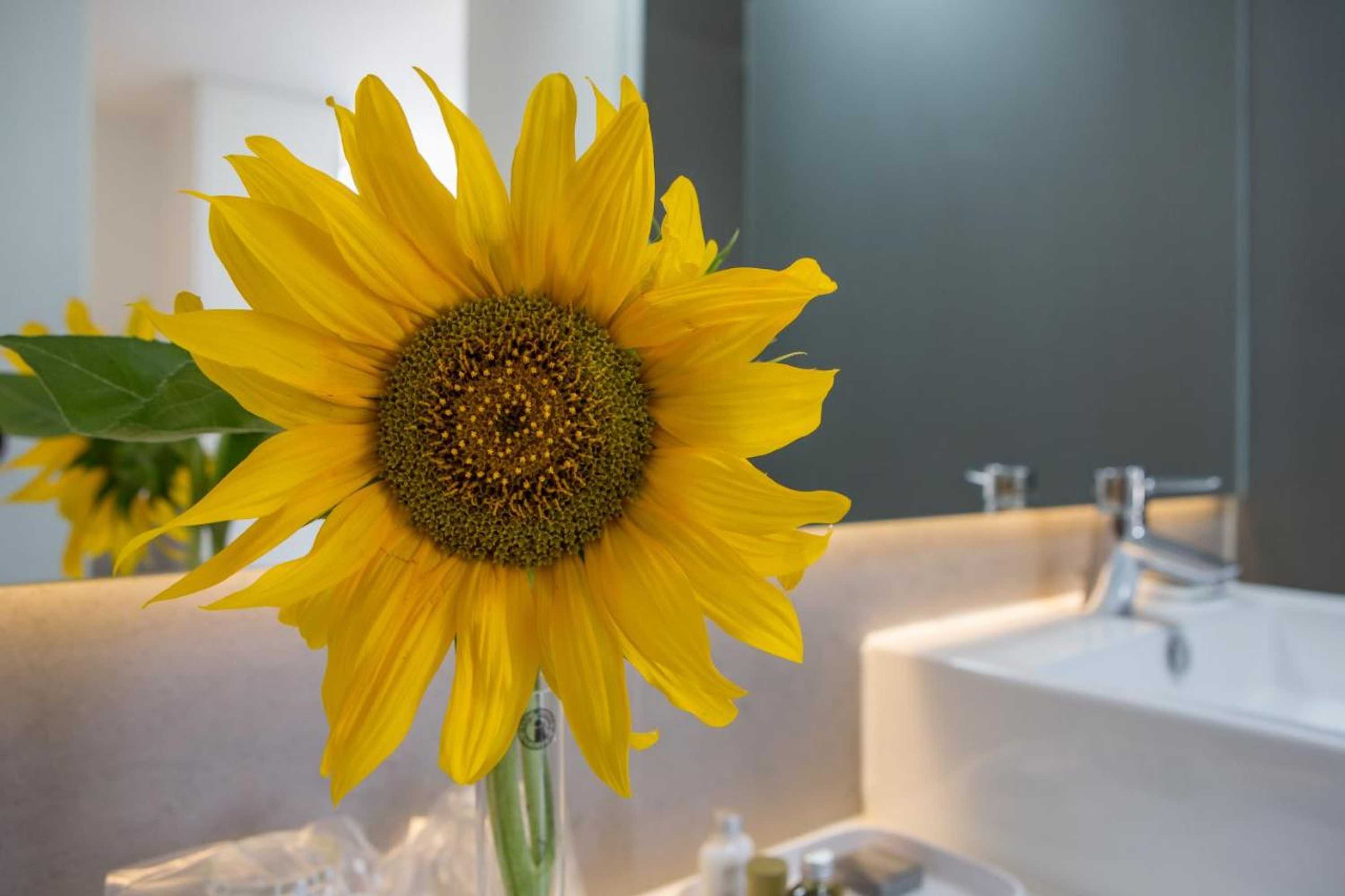 Gift card for Monte Das Texugueiras - Adults Only