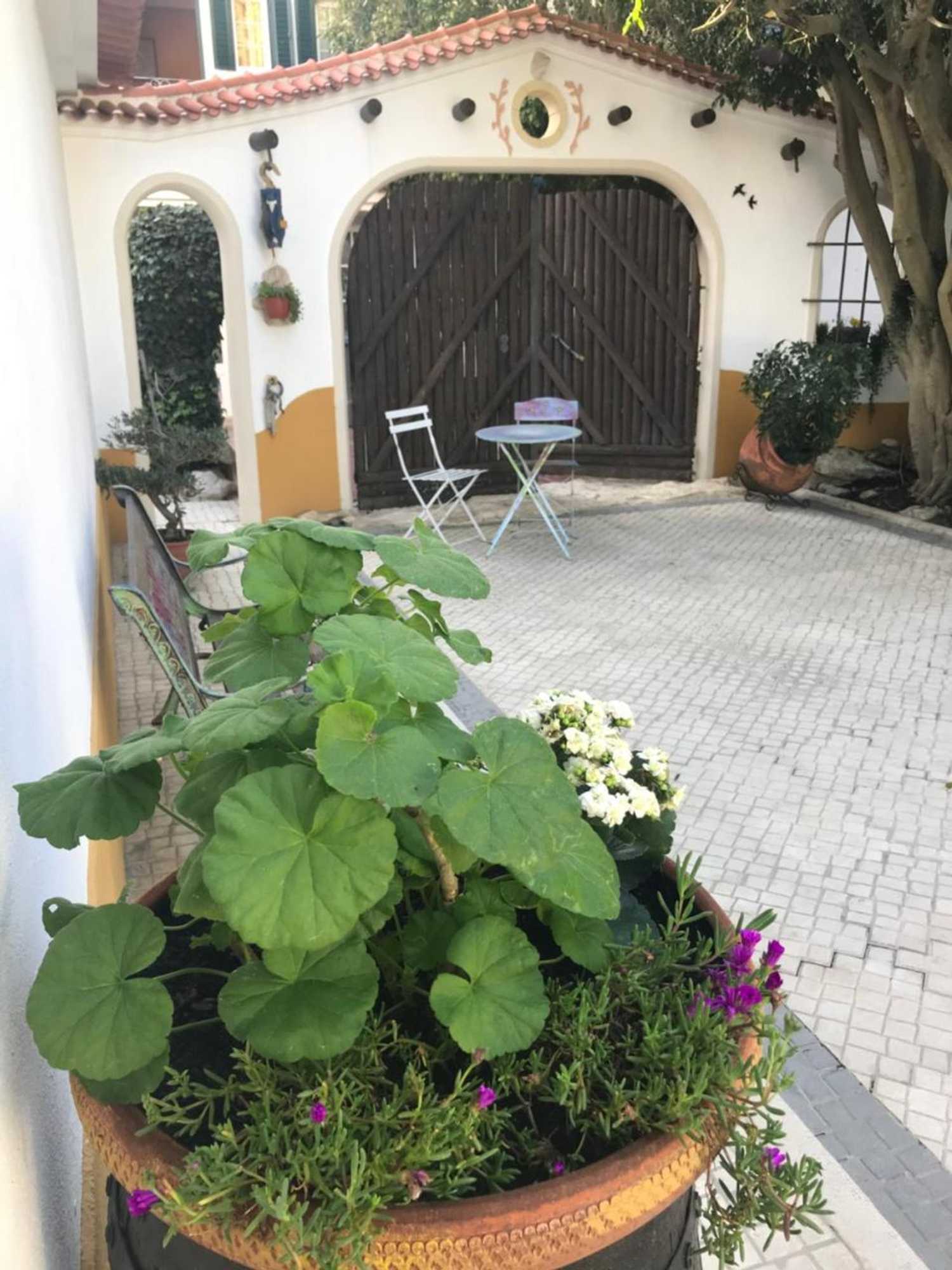 Gift card for O Pátio