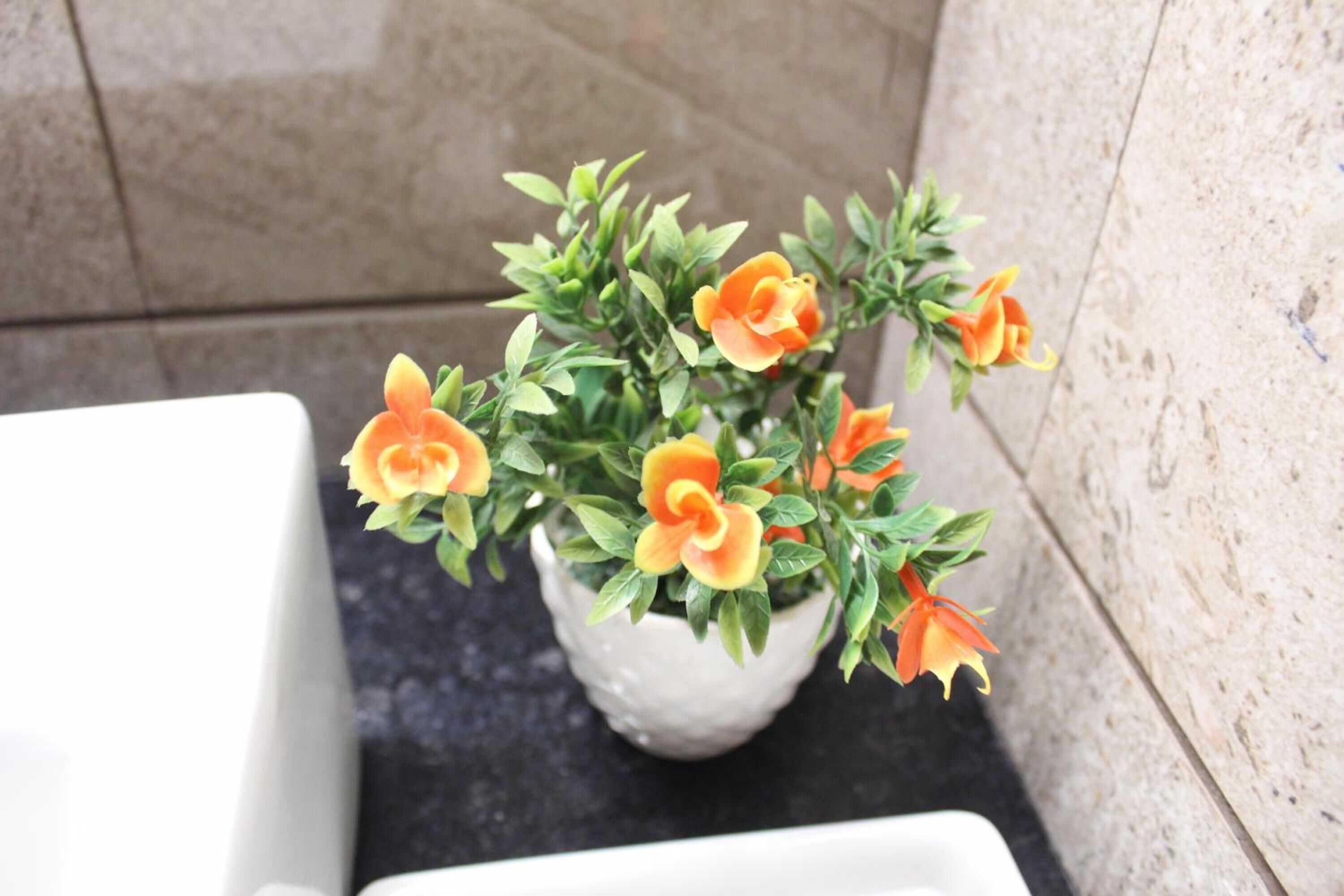 Gift card for Hotel Sai