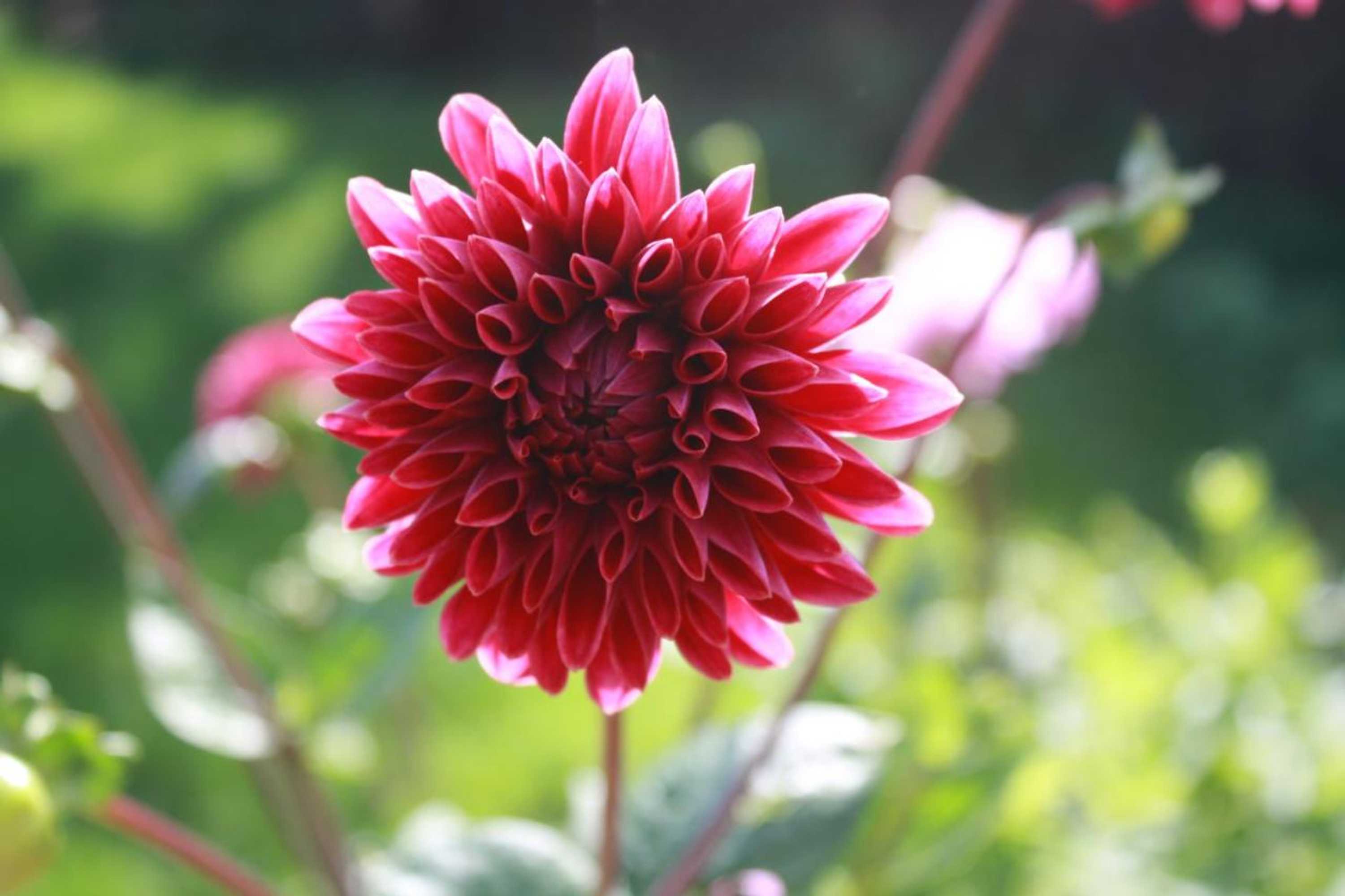 Gift card for Logerenbijonsz