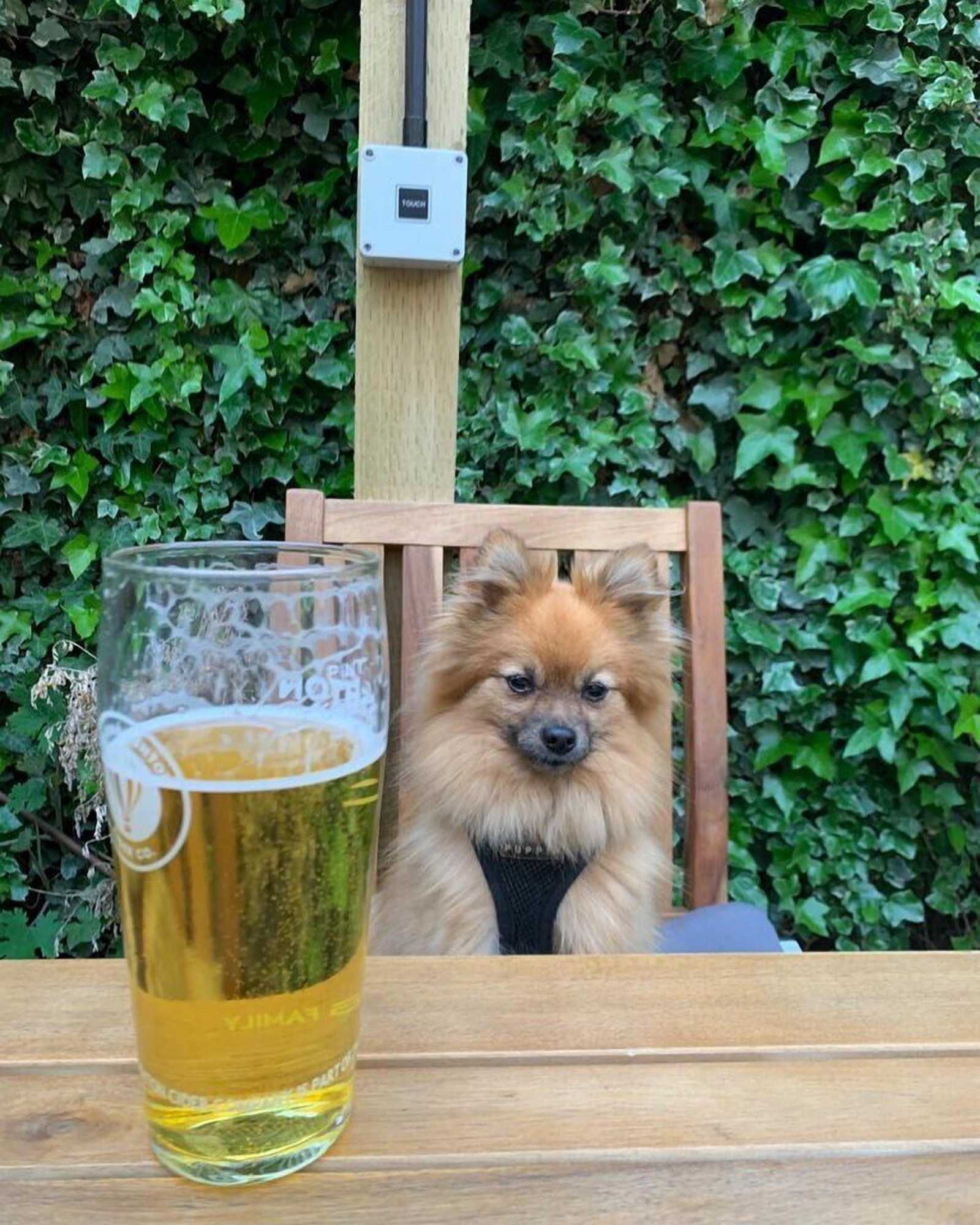 Gift card for The Cross Keys