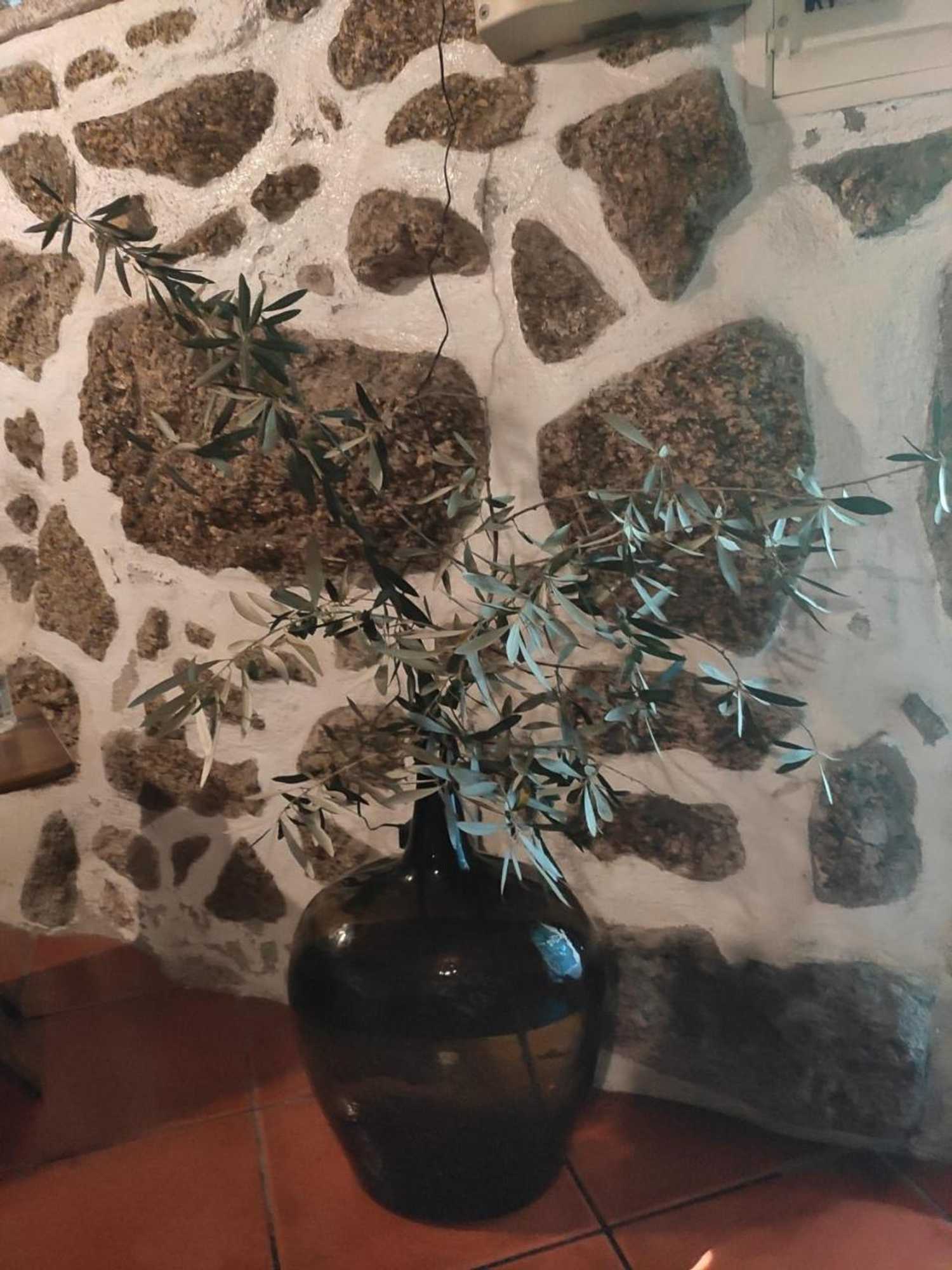 Gift card for Casa Na Montanha Da Neve