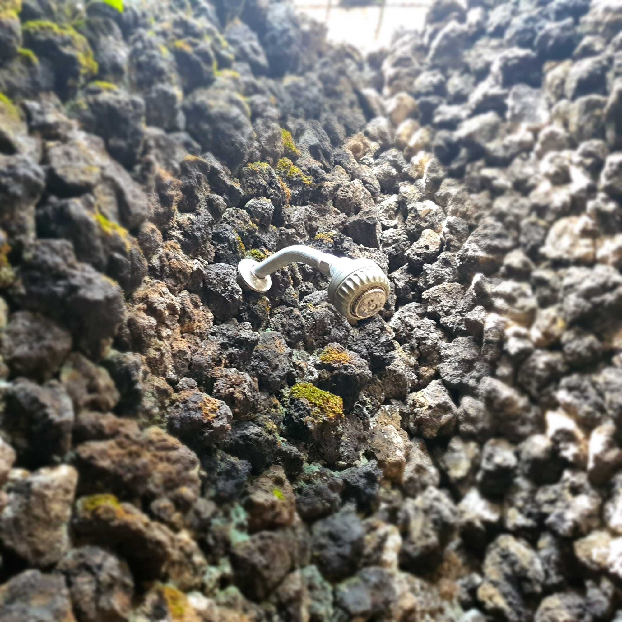 Gift card for Tengger Guest House Gift card for Tengger Guest House