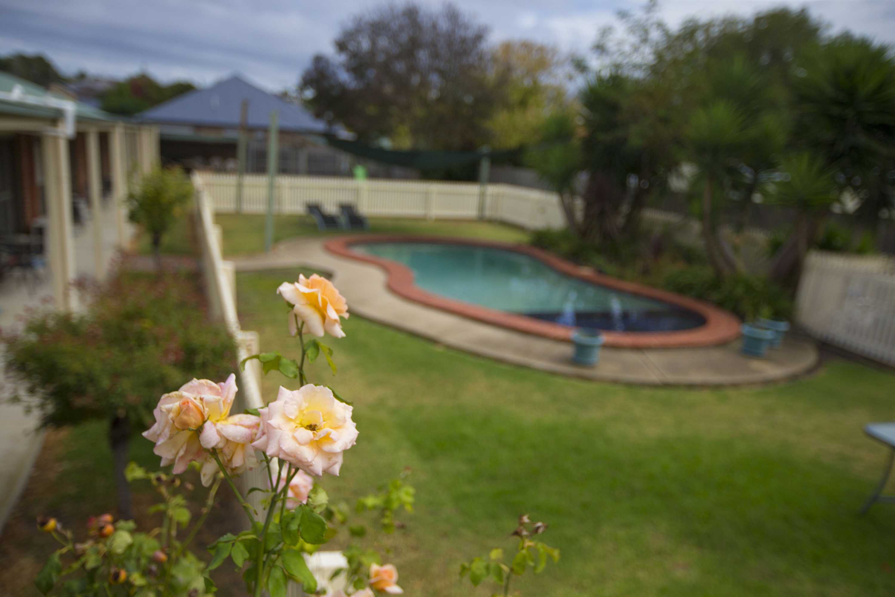 Gift card for Rose Garden Motel Gift card for Rose Garden Motel