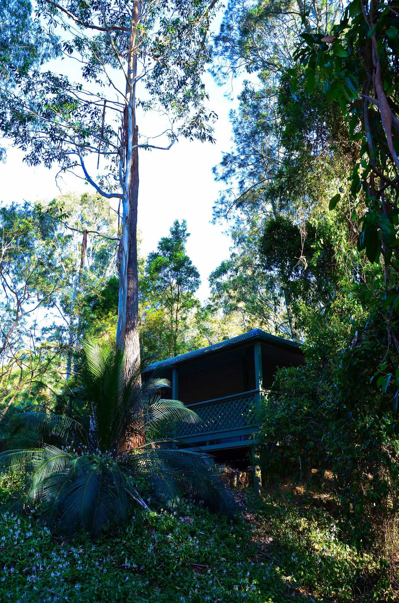 Gift card for Jervis Bay Cabins & Hidden Creek Campsite Gift card for Jervis Bay Cabins & Hidden Creek Campsite