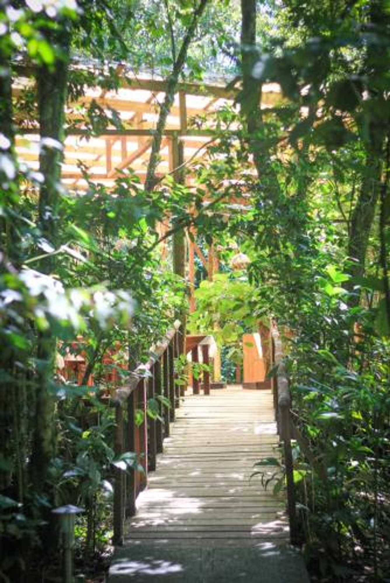 Gift card for Wagelia Espino Blanco Lodge Gift card for Wagelia Espino Blanco Lodge