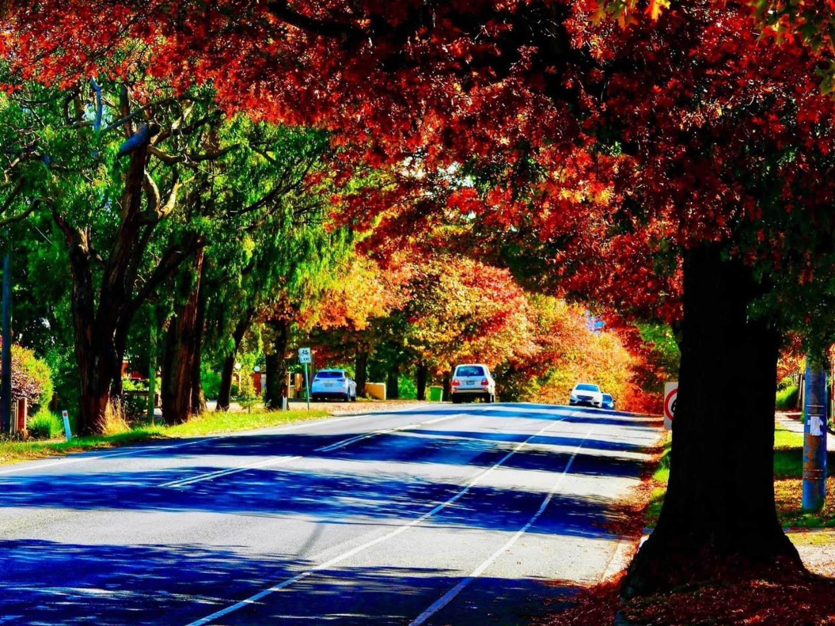 Gift card for Magnolia Cottage Healesville