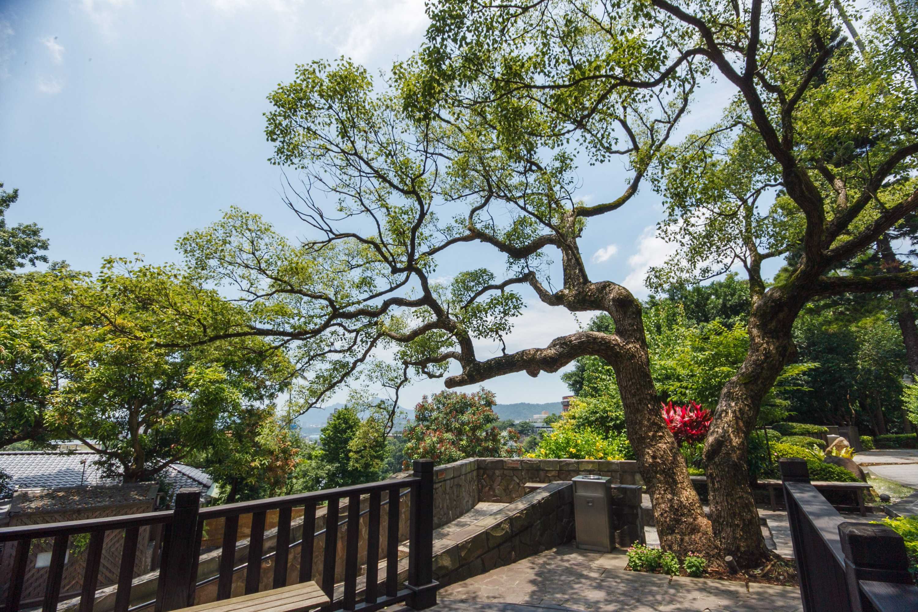 Gift card for Spring City Resort