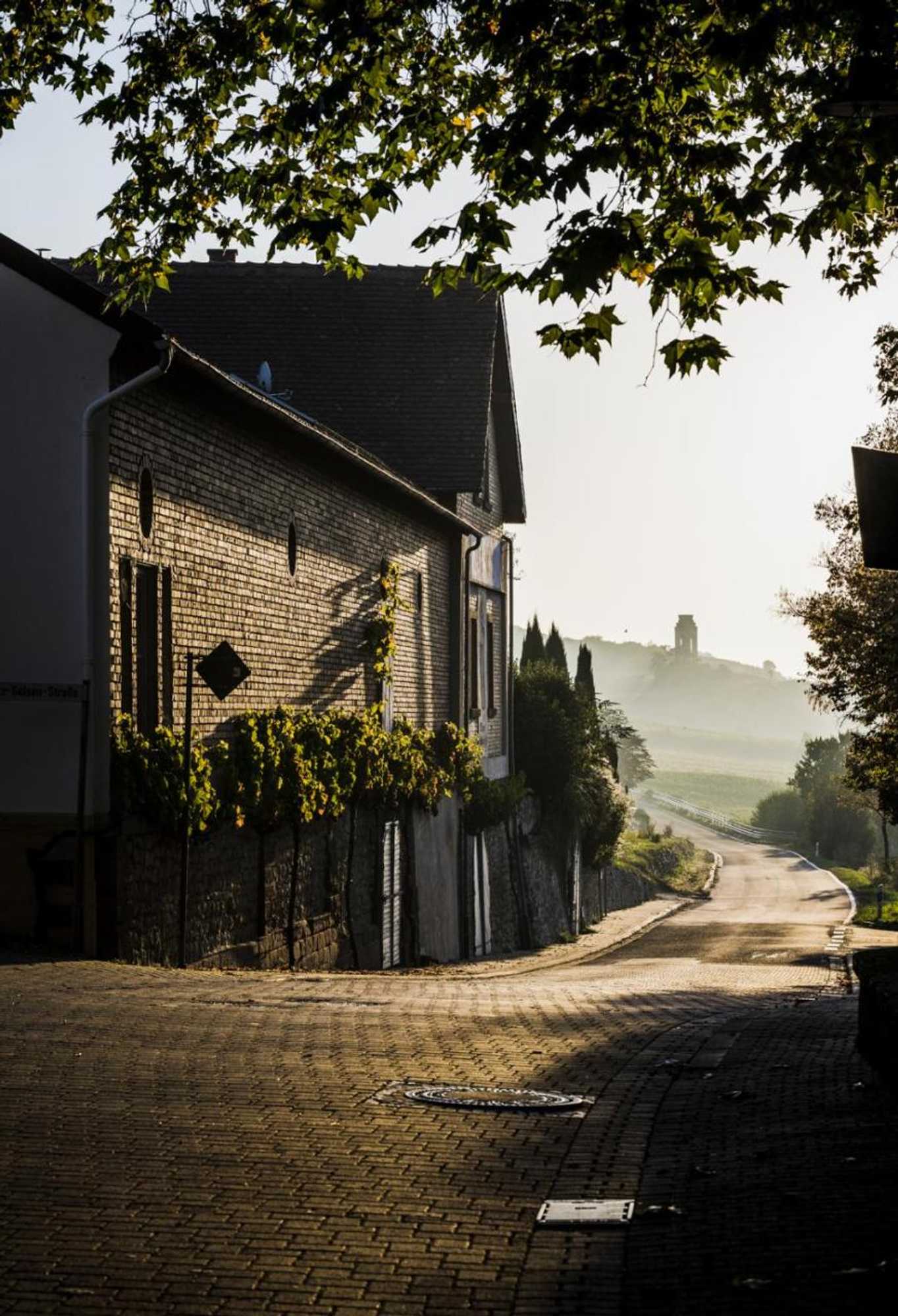 Gift card for Hotel Kollektur