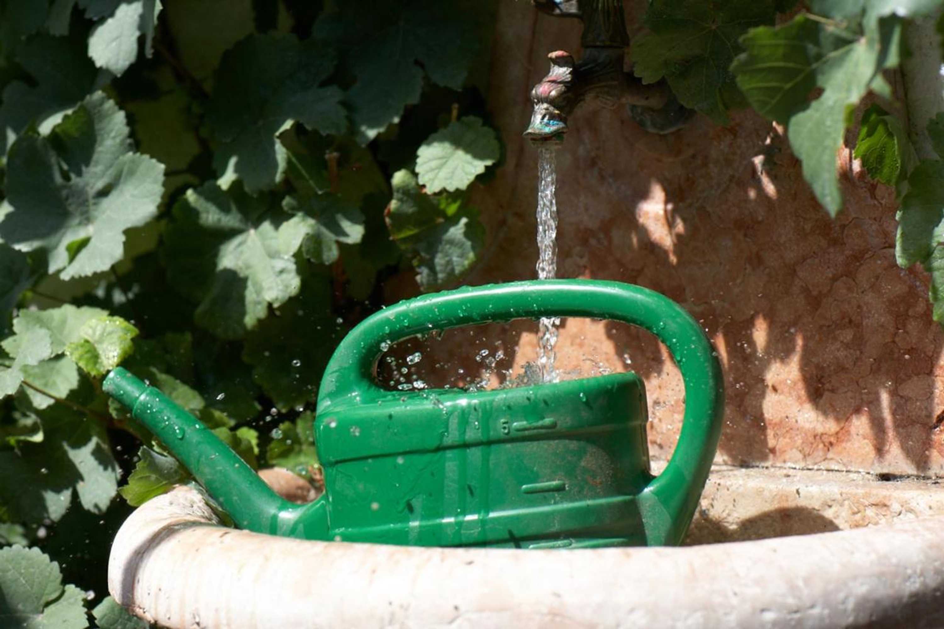 Gift card for Maischeider Hof