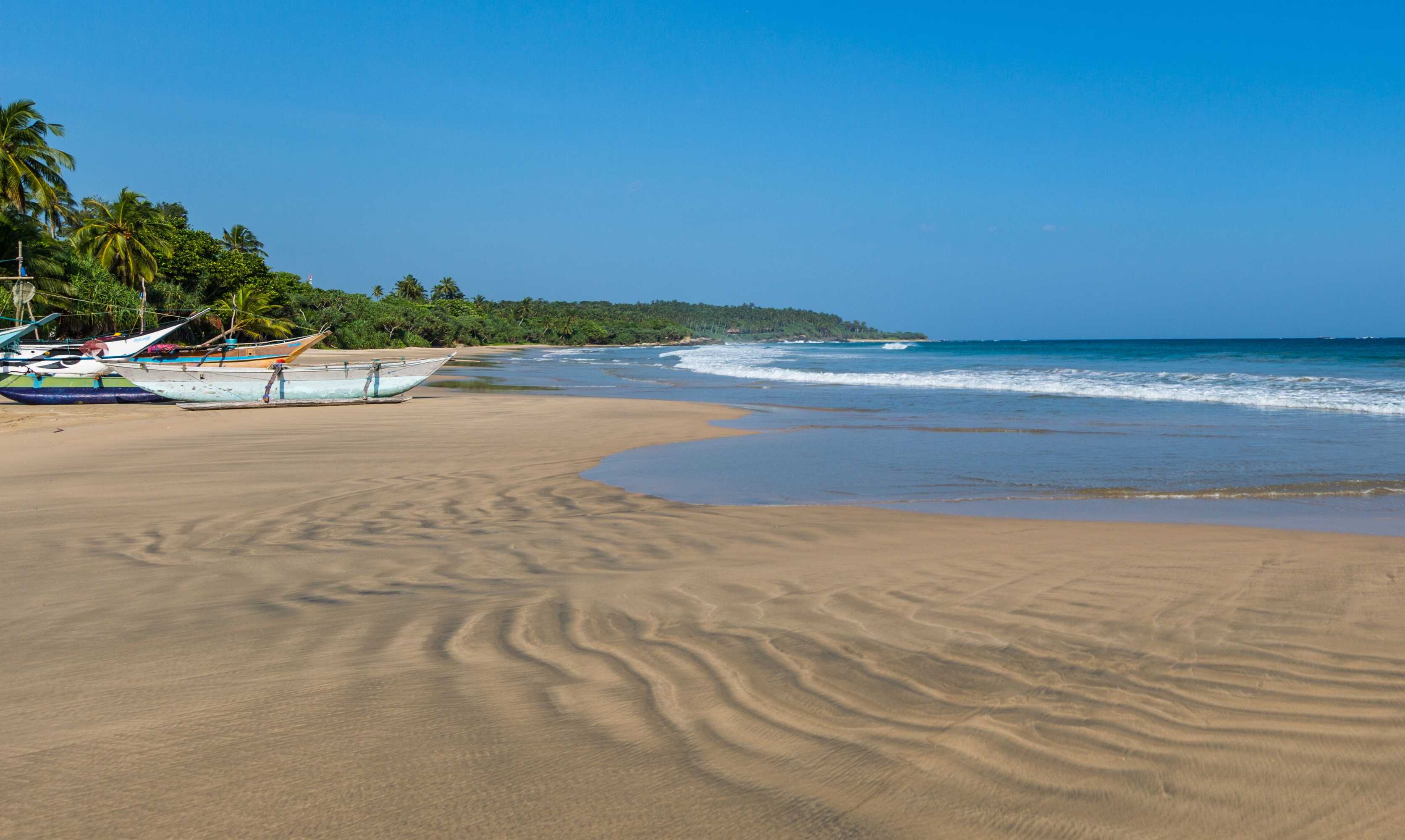 Gift card for Taru Villas Tangalle Social - Tangalle Gift card for Taru Villas Tangalle Social - Tangalle