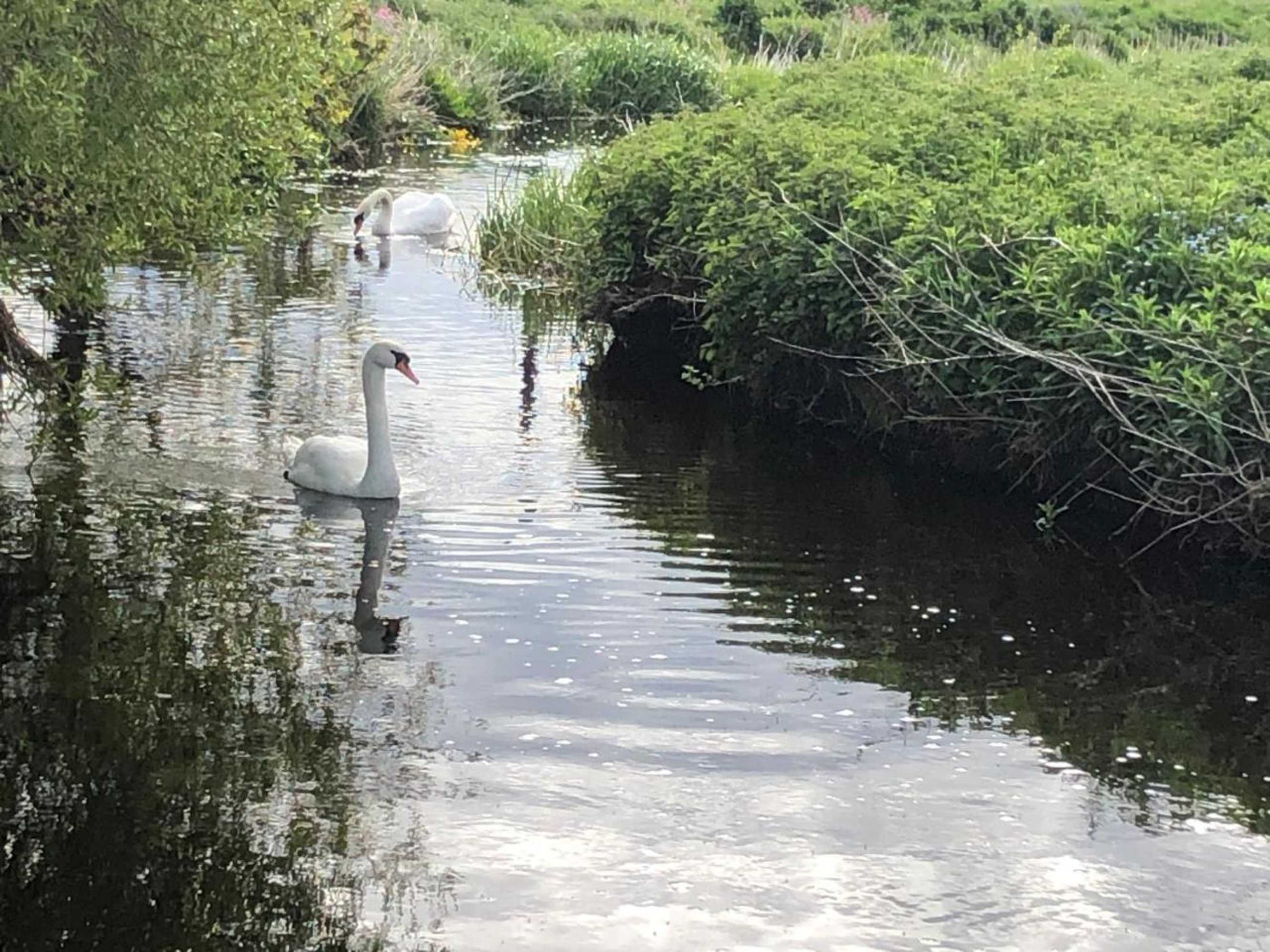 Gift card for Garden Bank Cottage