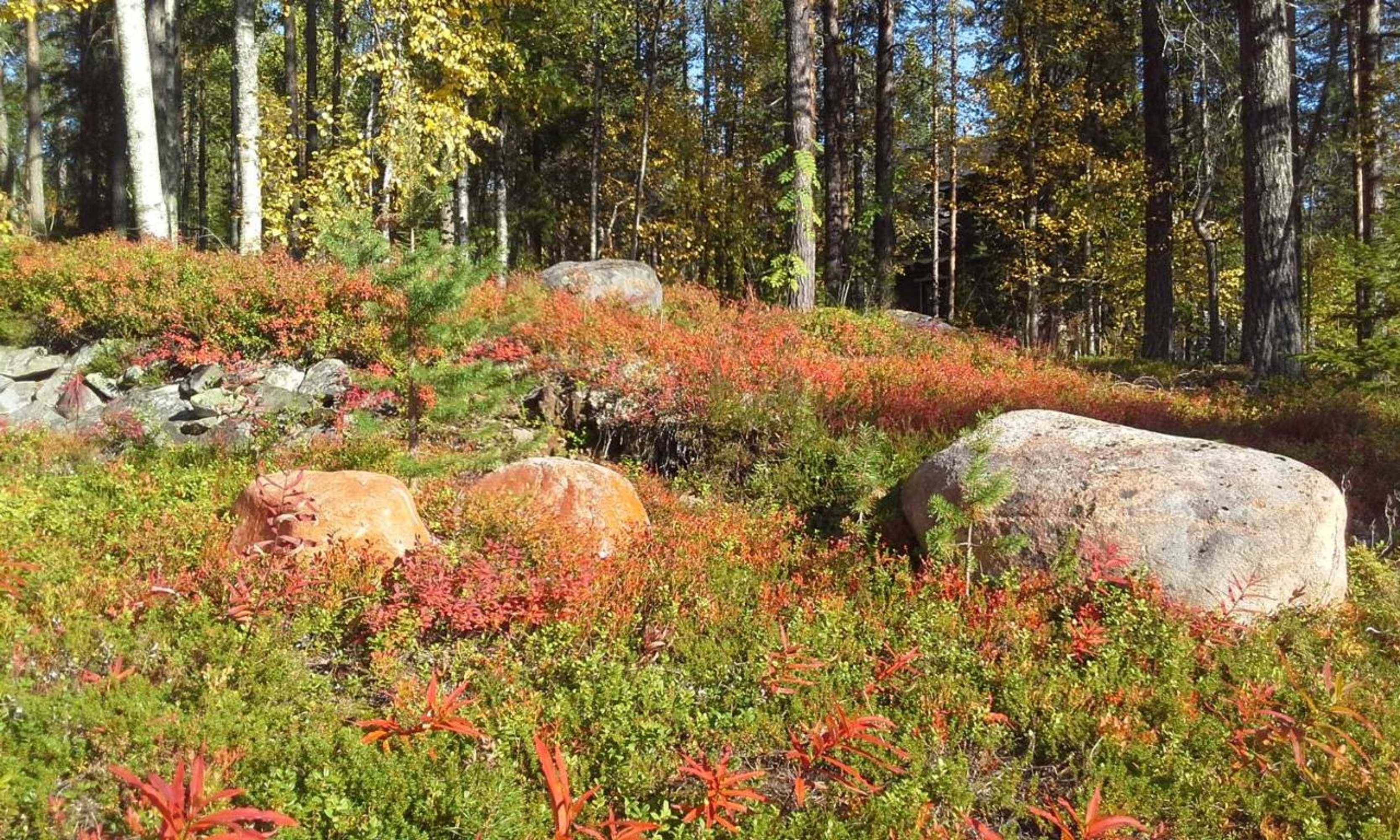 Gift card for Apartment Seita