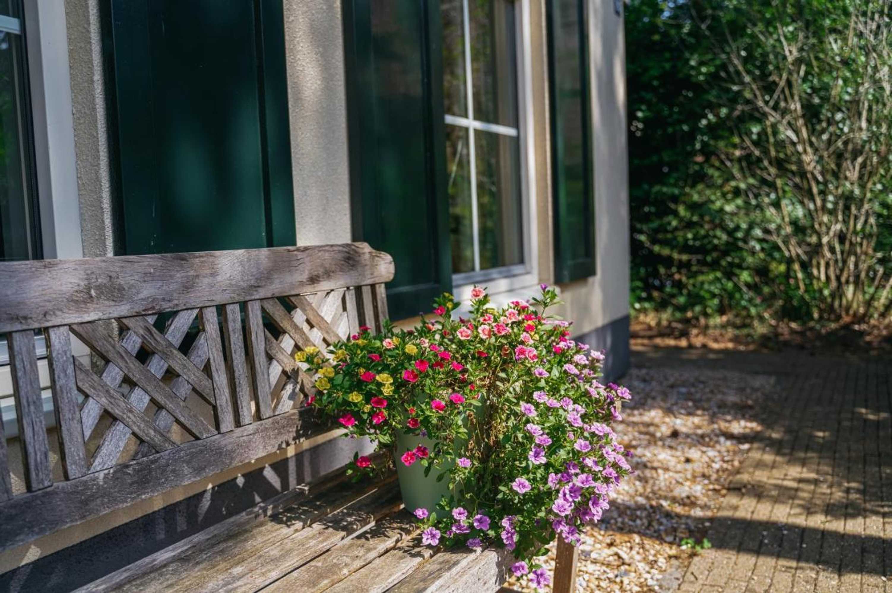 Gift card for Cottage Hazenhorst - Paradijs Aan Het Bos