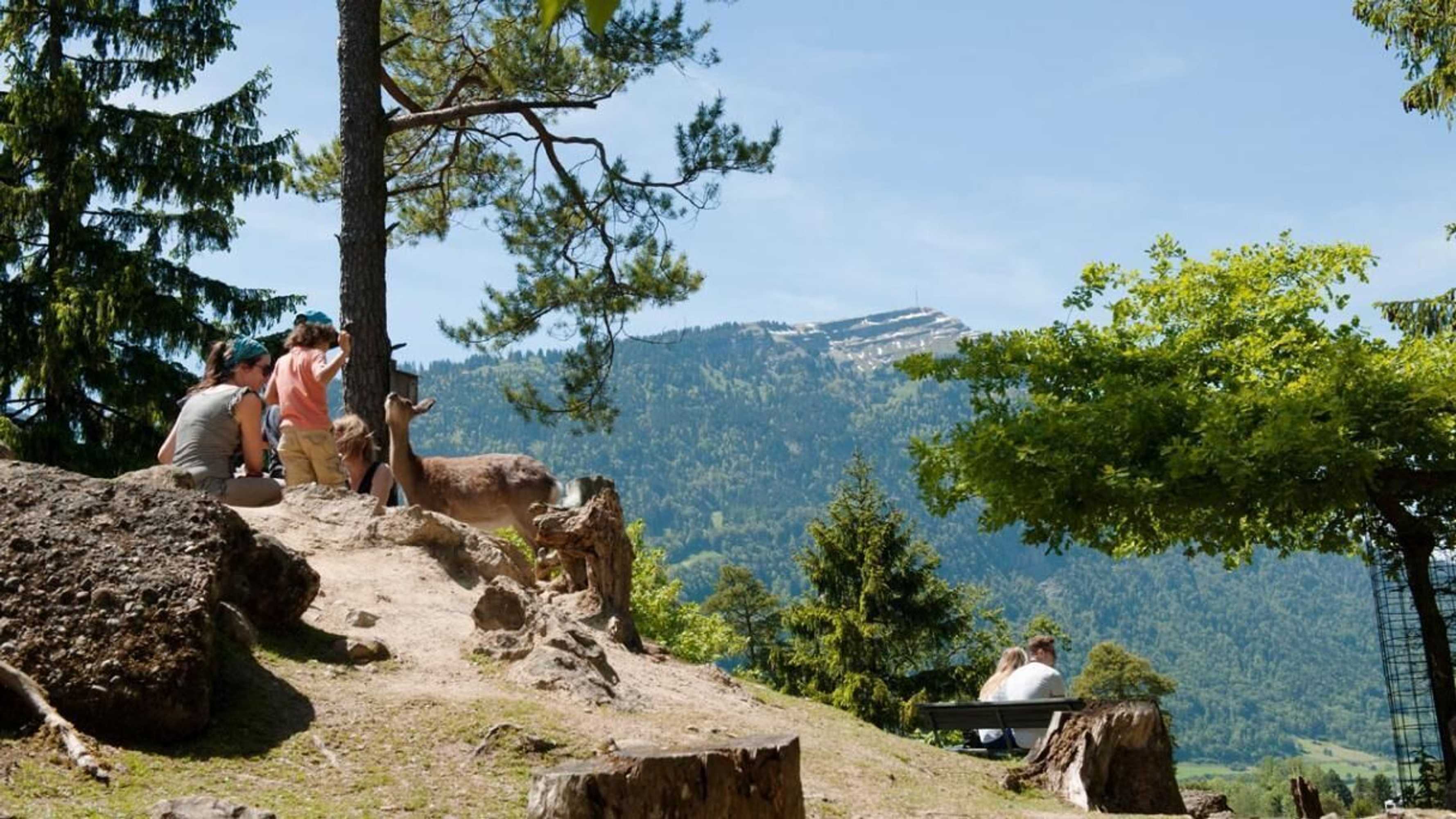 Gift card for Ibis Baar Zug