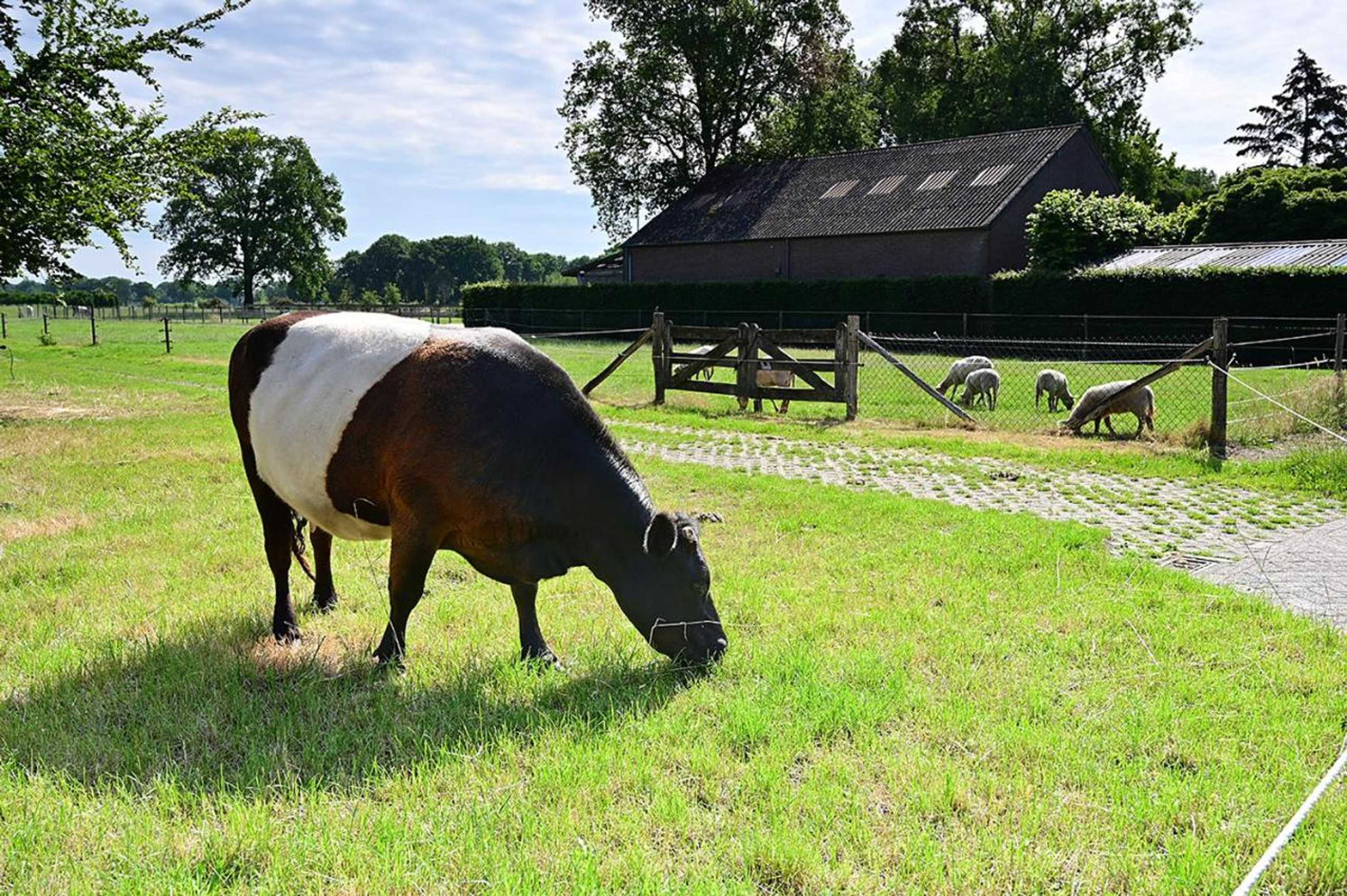 Gift card for De Lakenvelder B&b Eersel