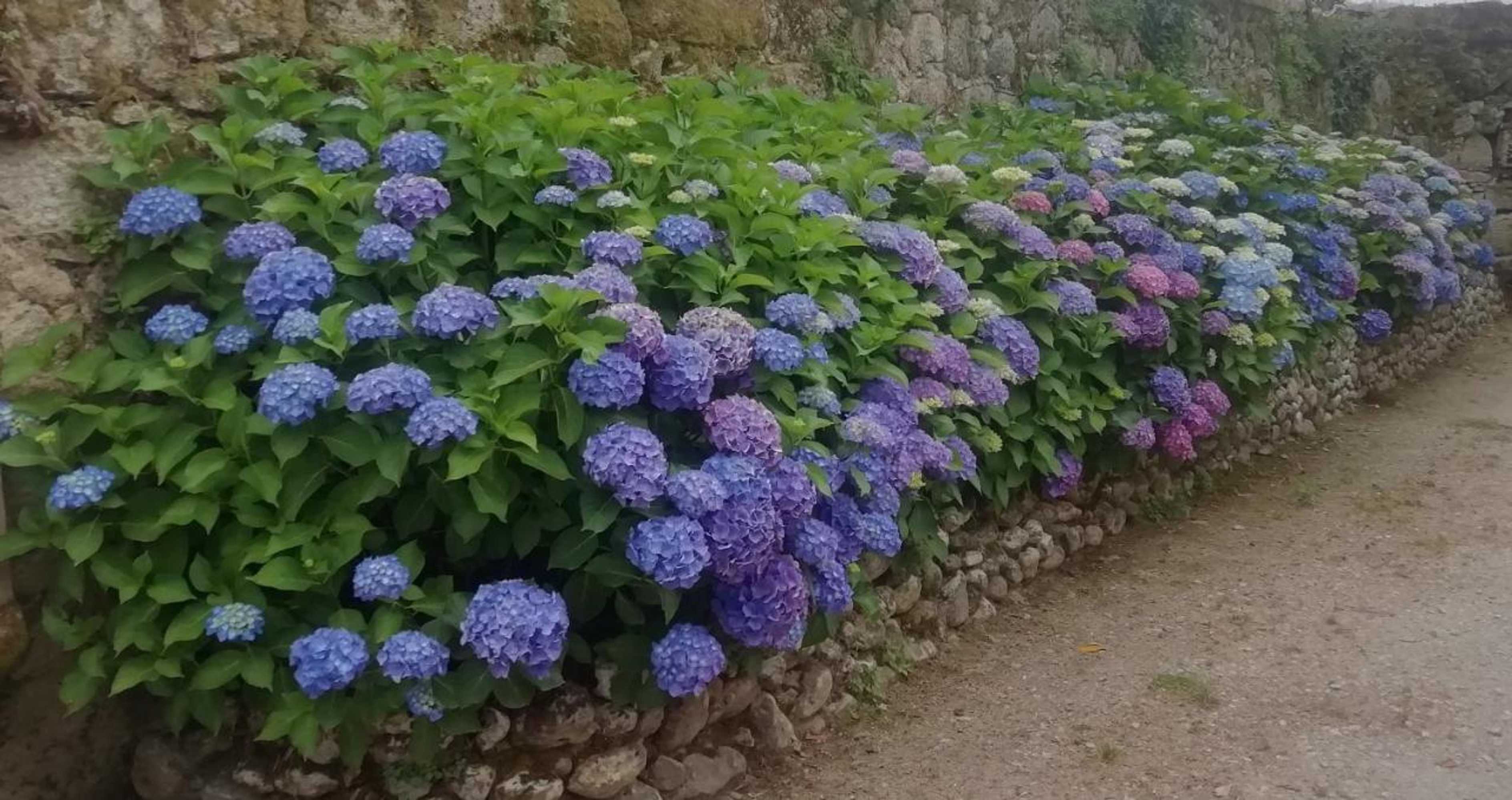 Gift card for Quinta da Tapada