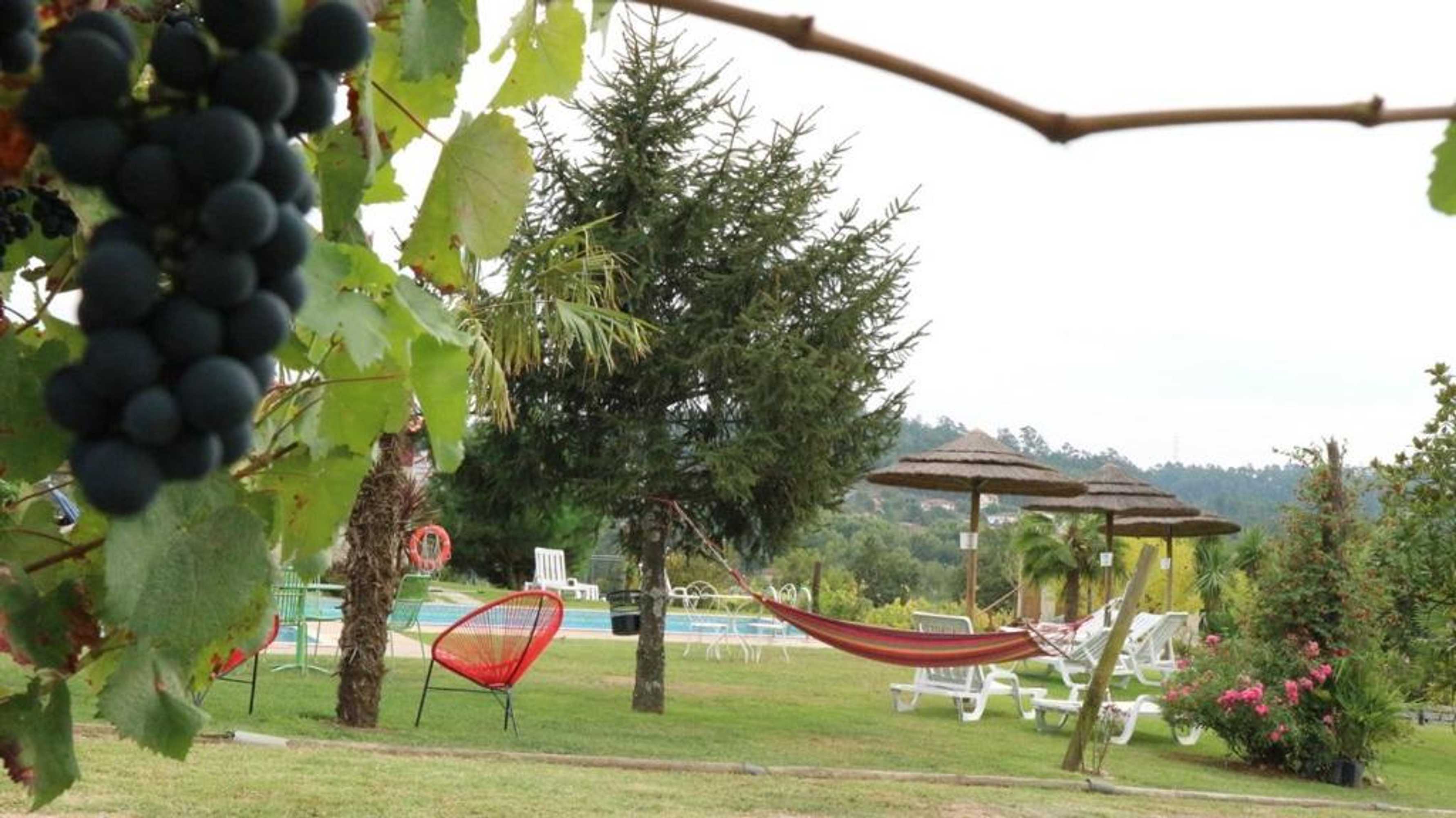 Gift card for Quinta Lama de Cima