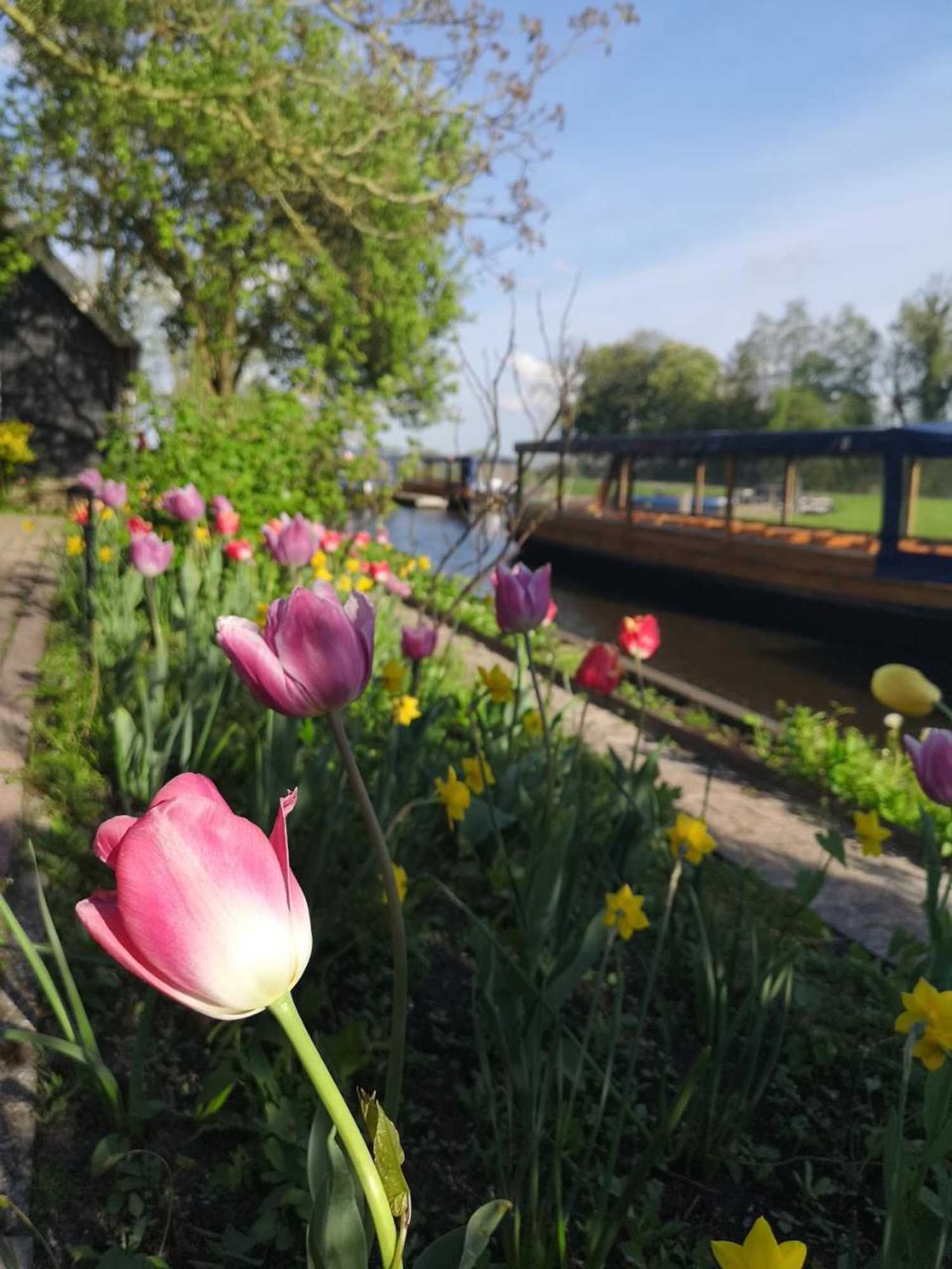 Gift card for The Black Sheep Hostel