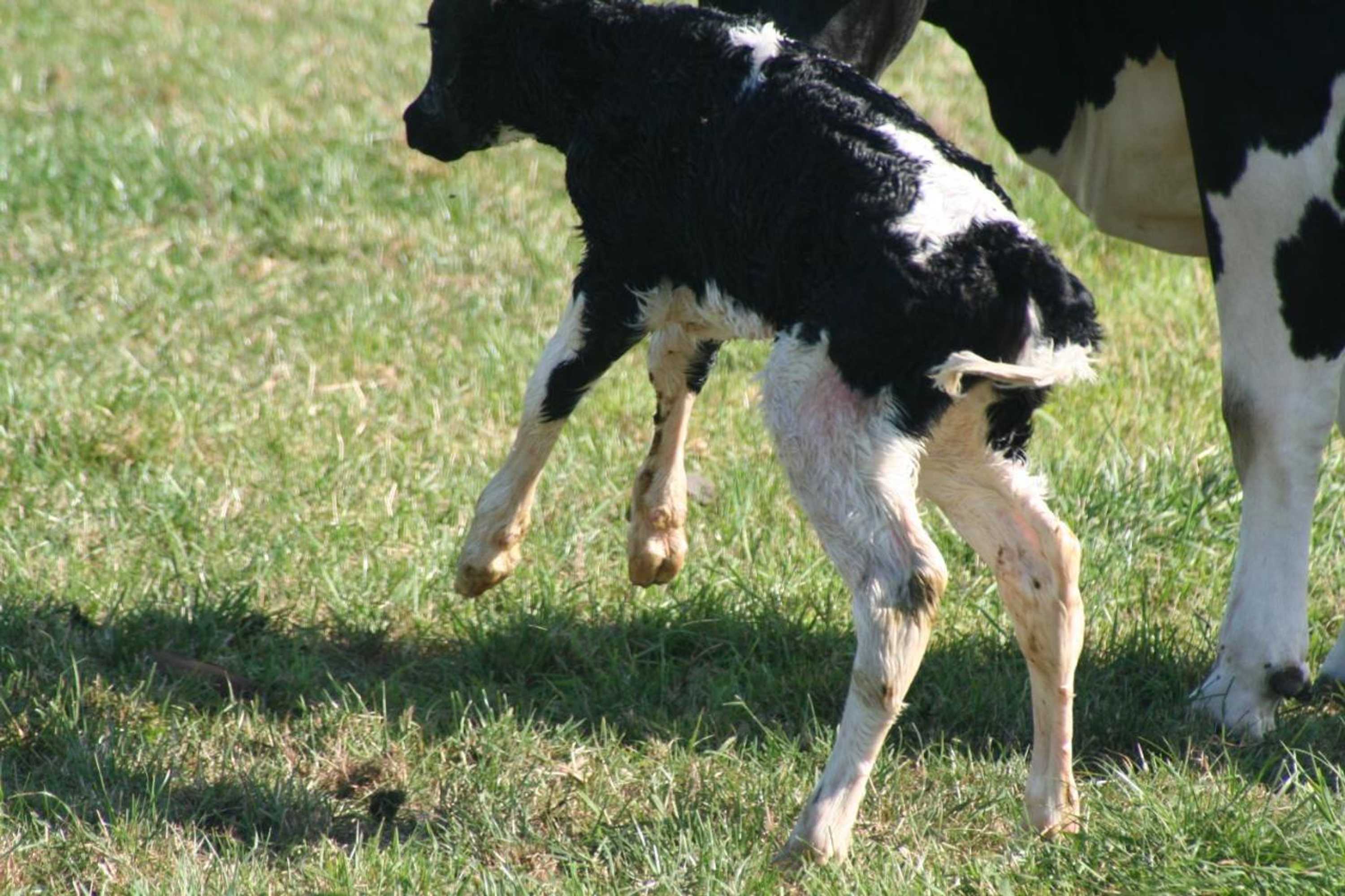 Gift card for Camping De Grienduil