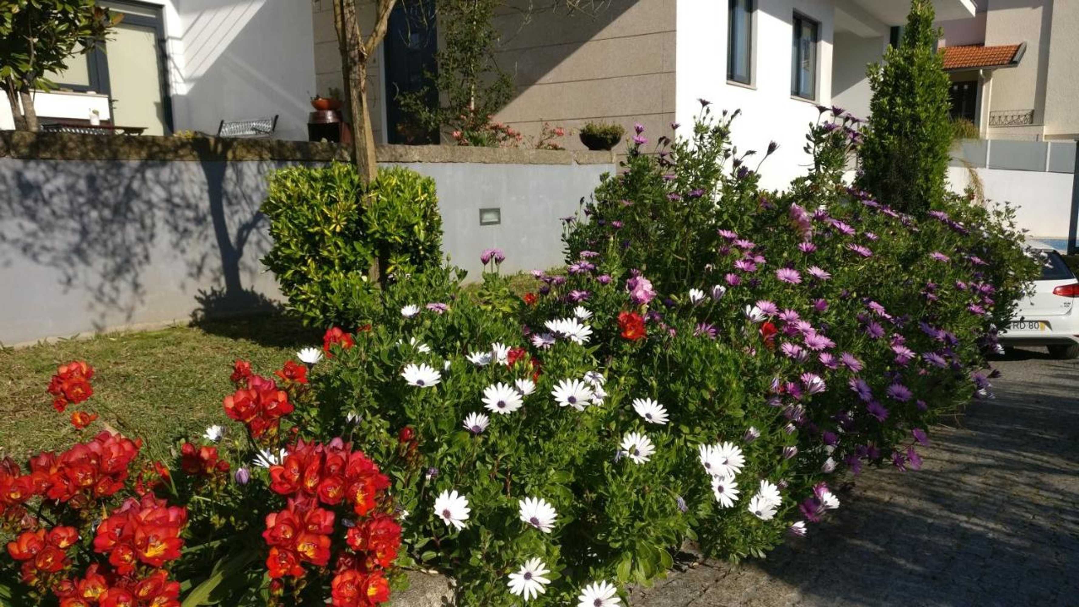 Gift card for Casa de Coelhosa Gift card for Casa de Coelhosa