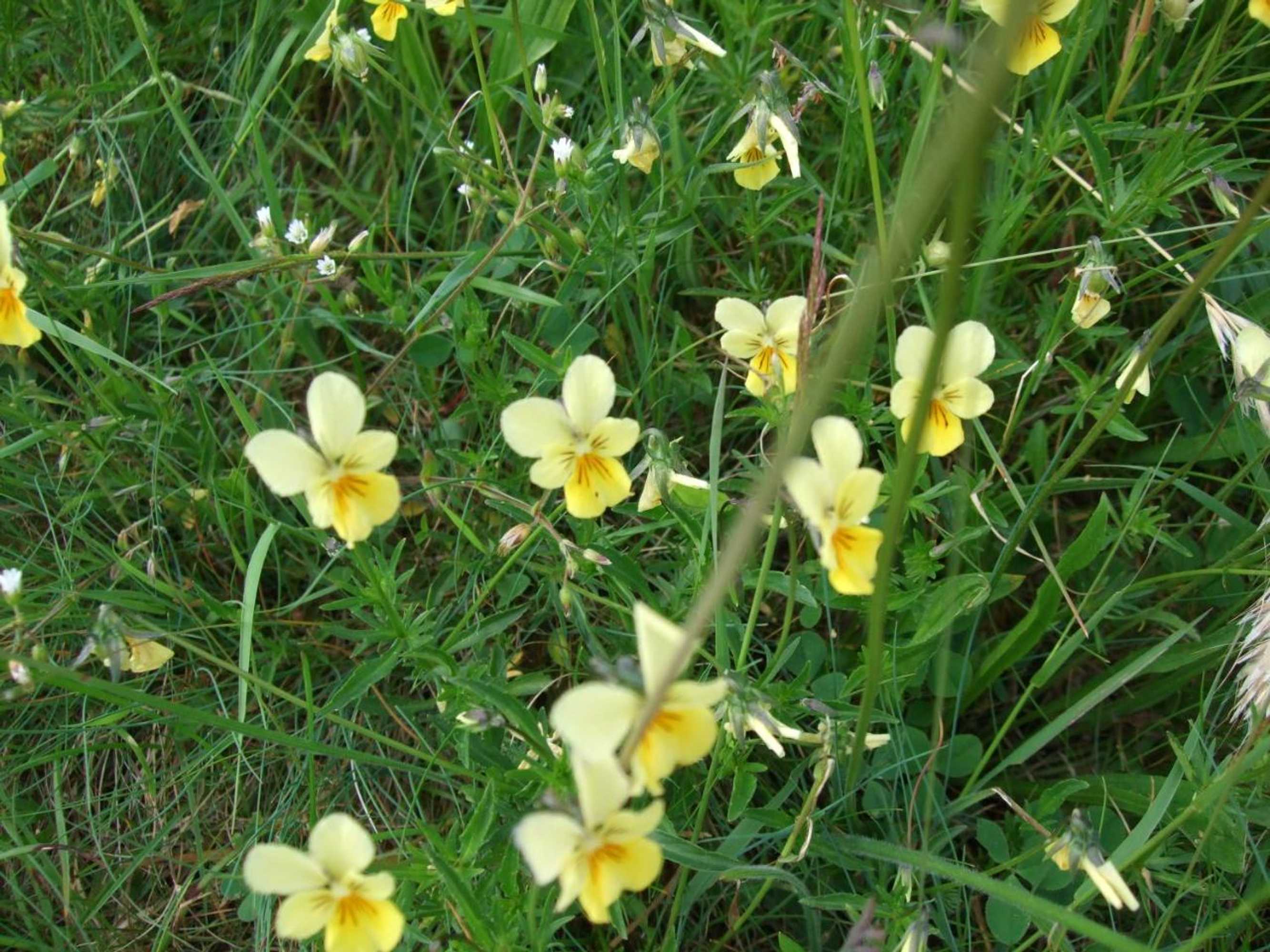 Gift card for Parkhotel Hammerberg