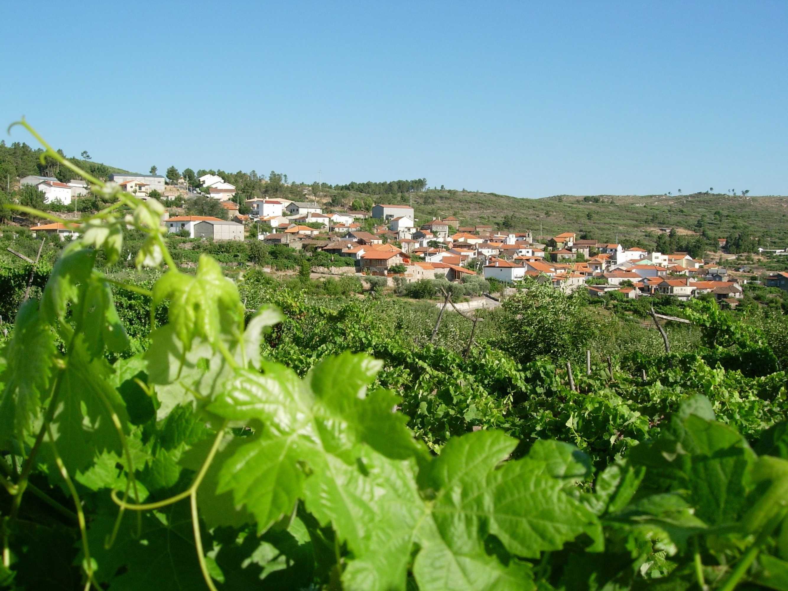 Gift card for Outros Tempos - Turismo de Aldeia Gift card for Outros Tempos - Turismo de Aldeia