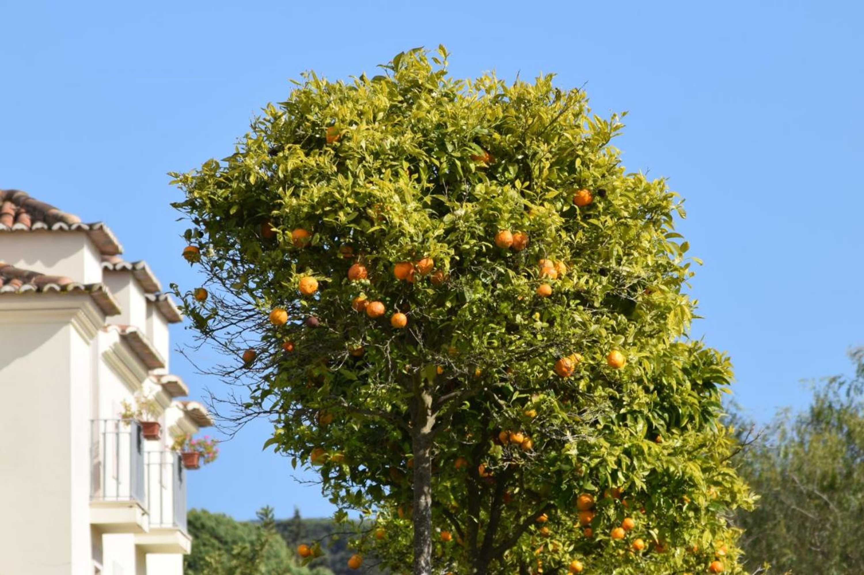 Gift card for Quinta De Catralvos