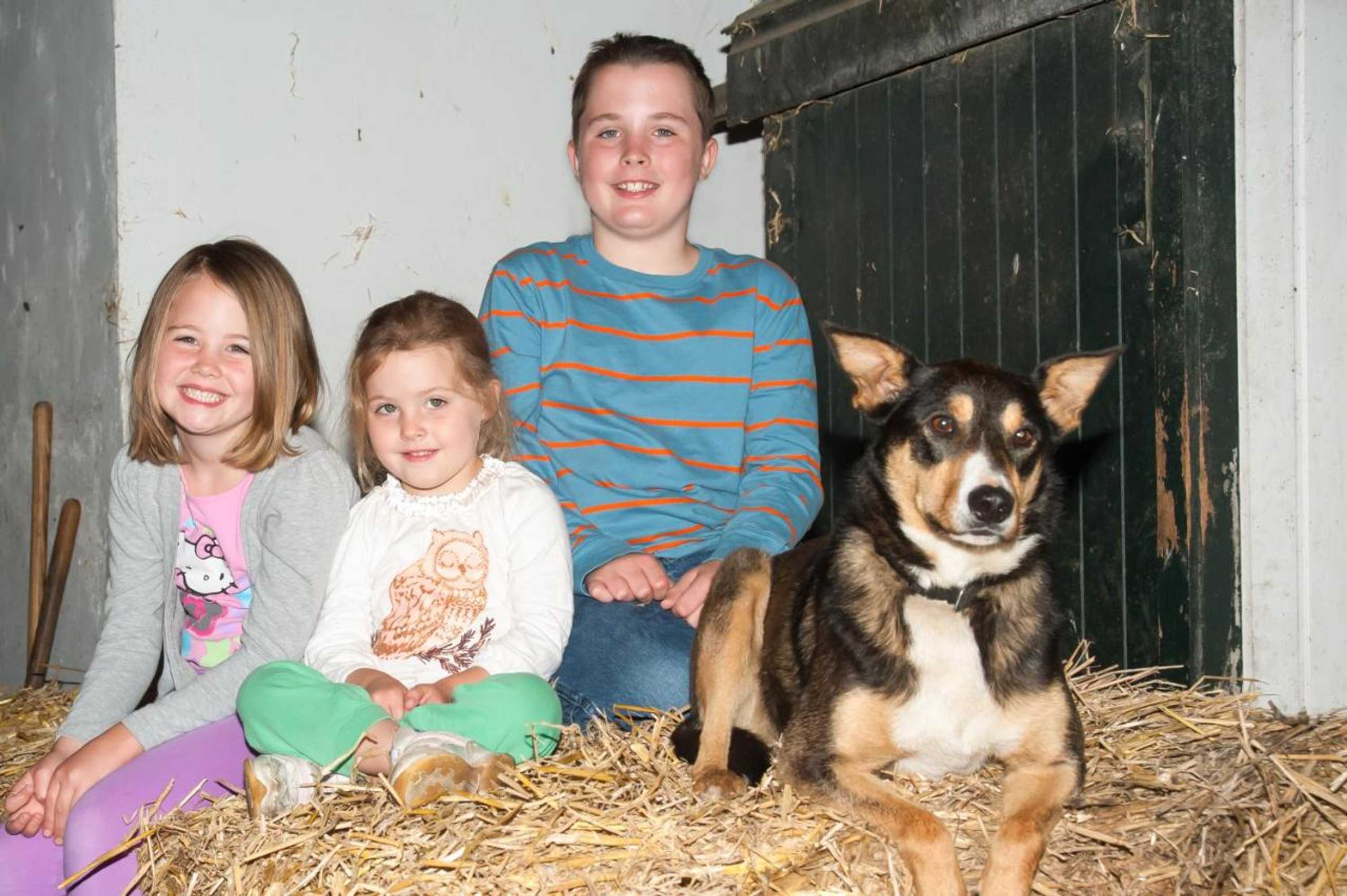 Gift card for Sint Nicolaashoeve