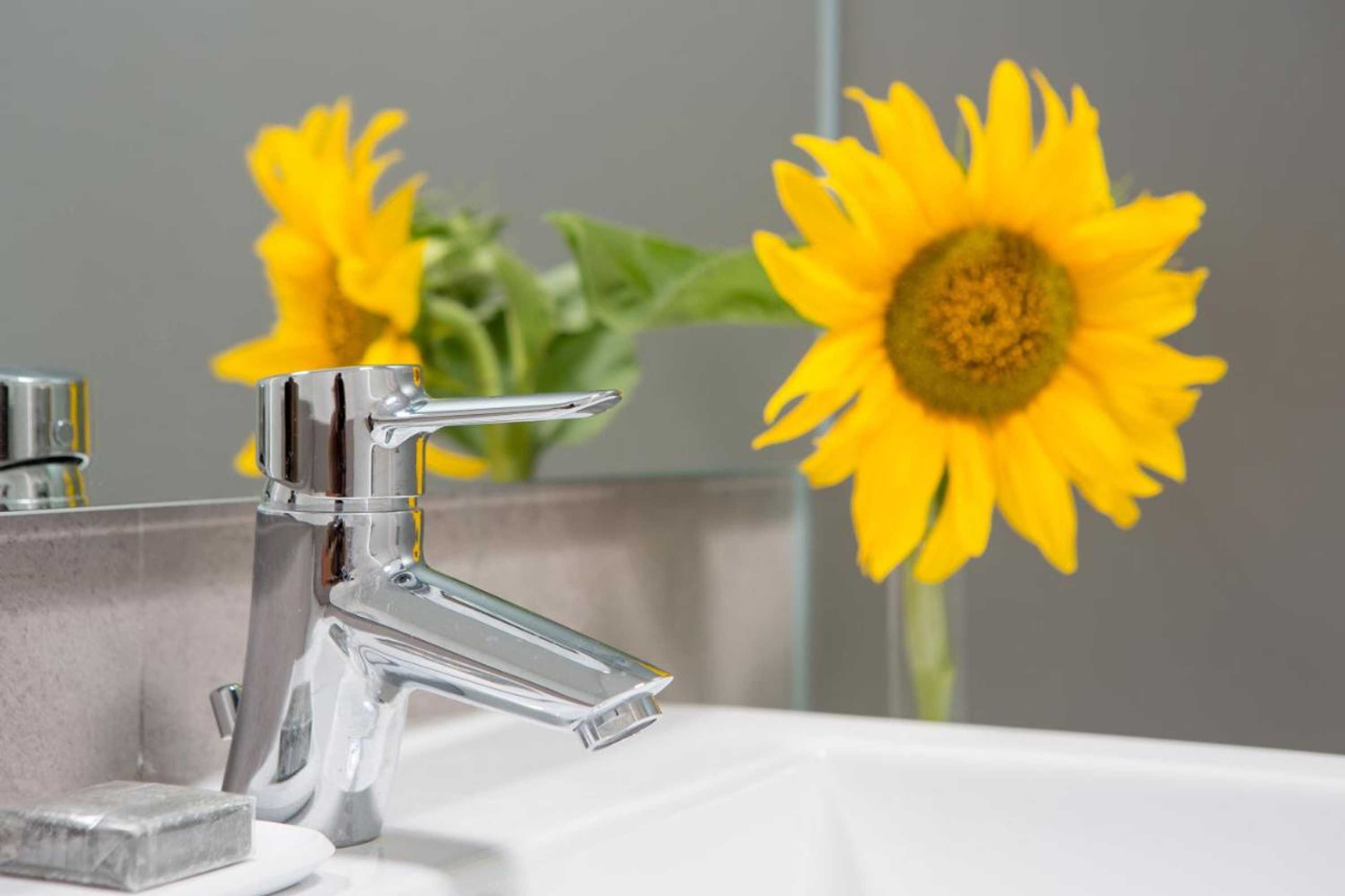 Gift card for Monte Das Texugueiras - Adults Only Gift card for Monte Das Texugueiras - Adults Only