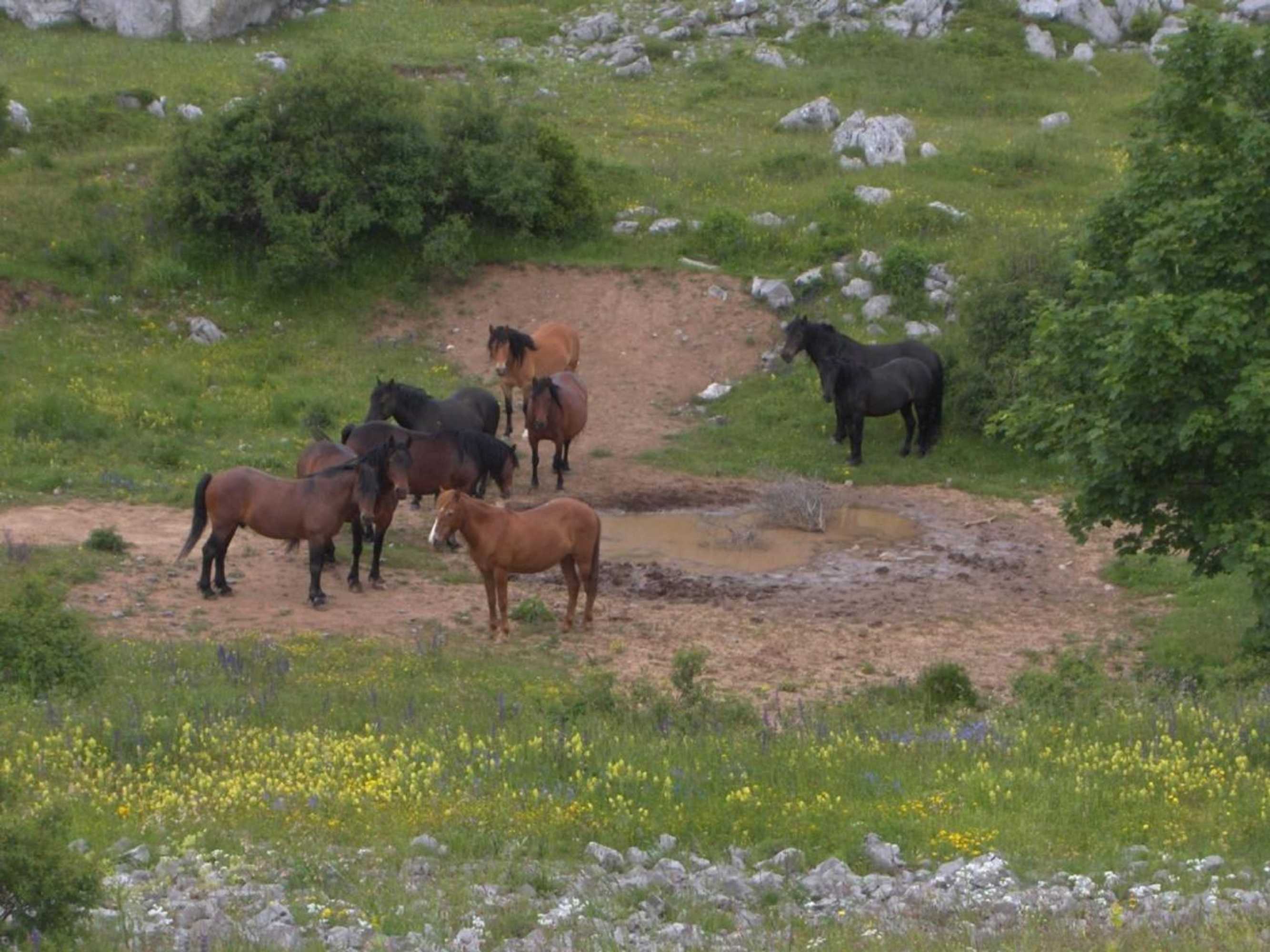 Gift card for Bed & Breakfast Dora