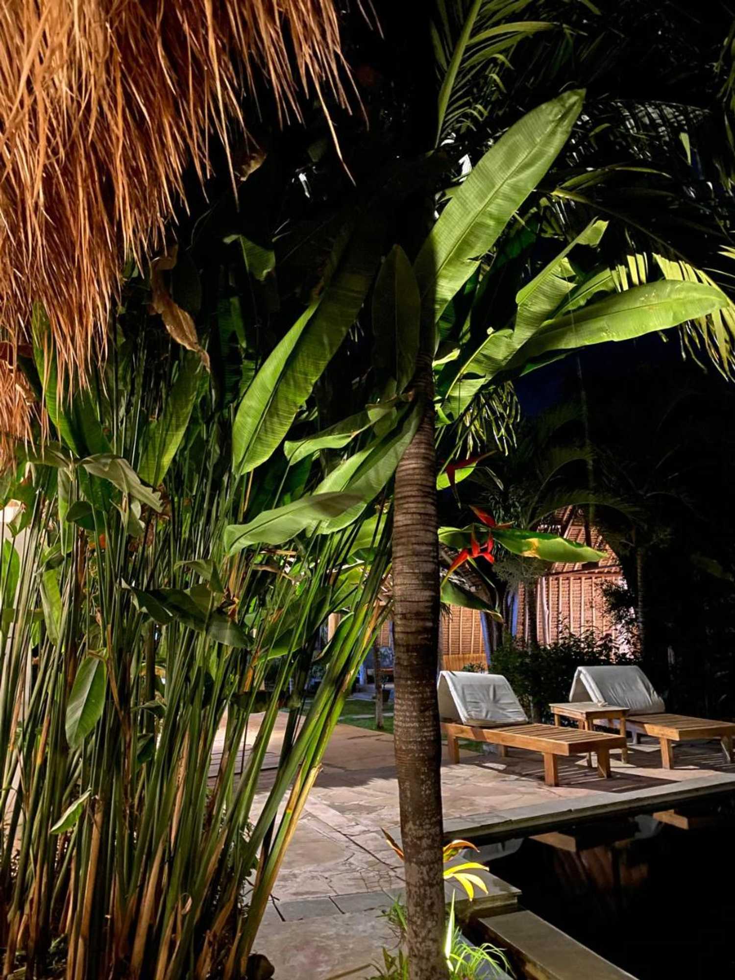 Gift card for Palm Green Hotel