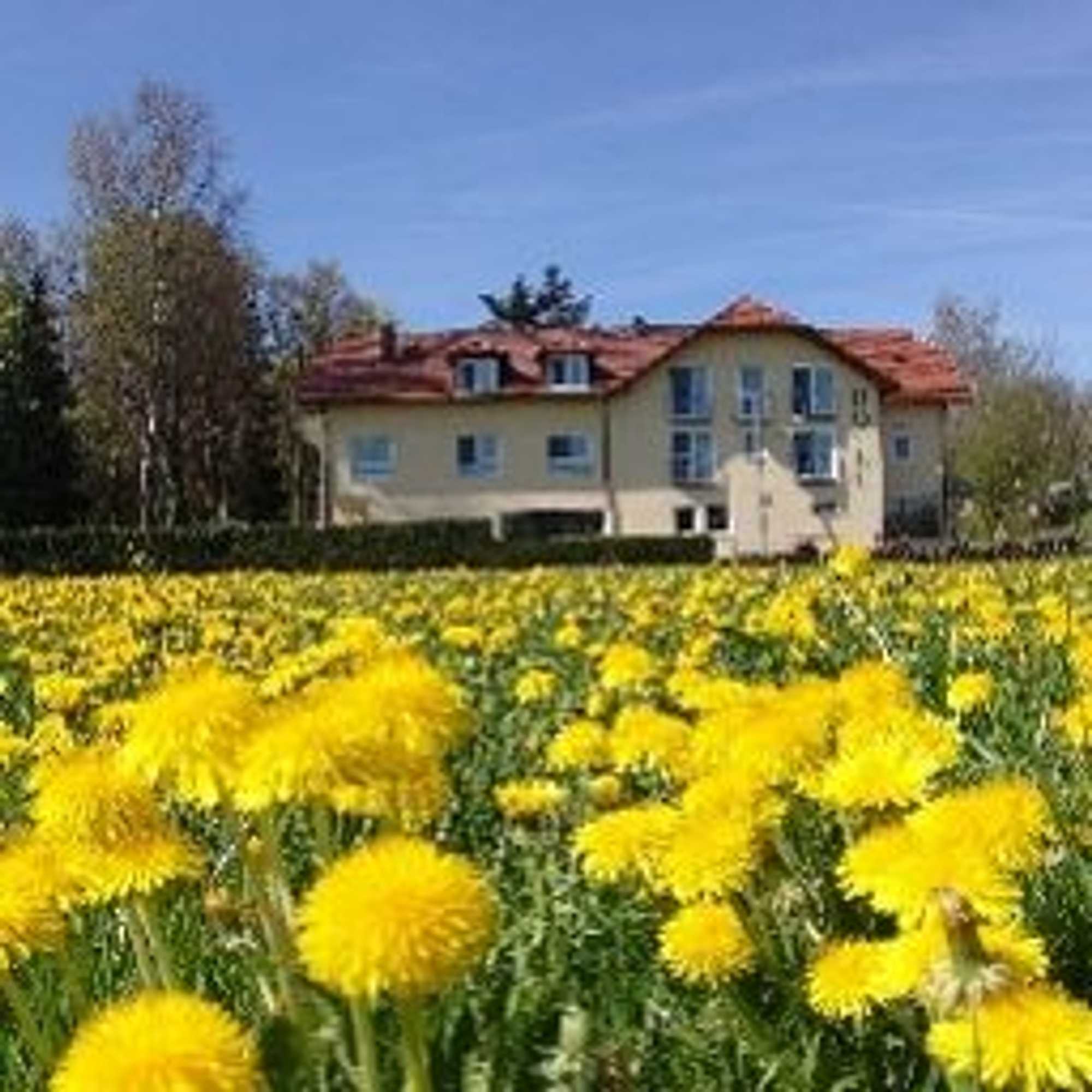 Gift card for Hotel & Restaurant Dornweiler Hof Gift card for Hotel & Restaurant Dornweiler Hof