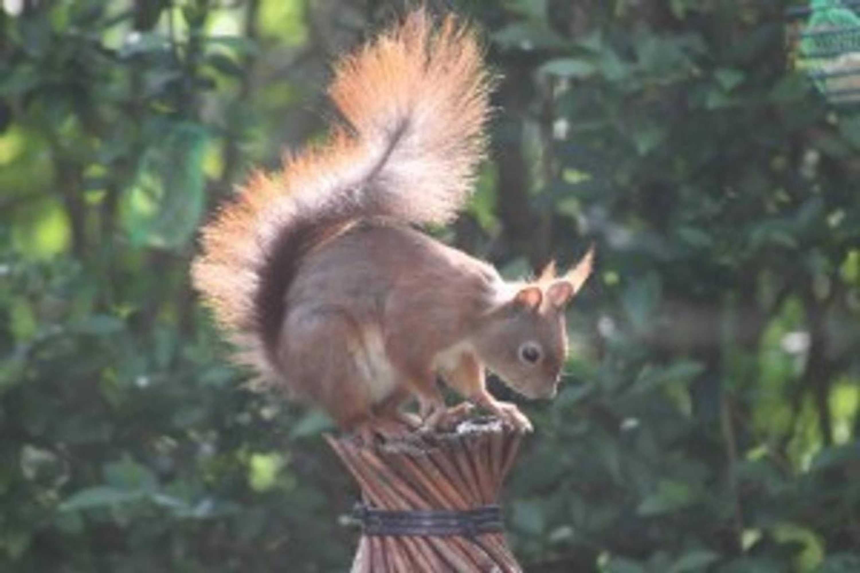 Gift card for Vakantie Veluwe