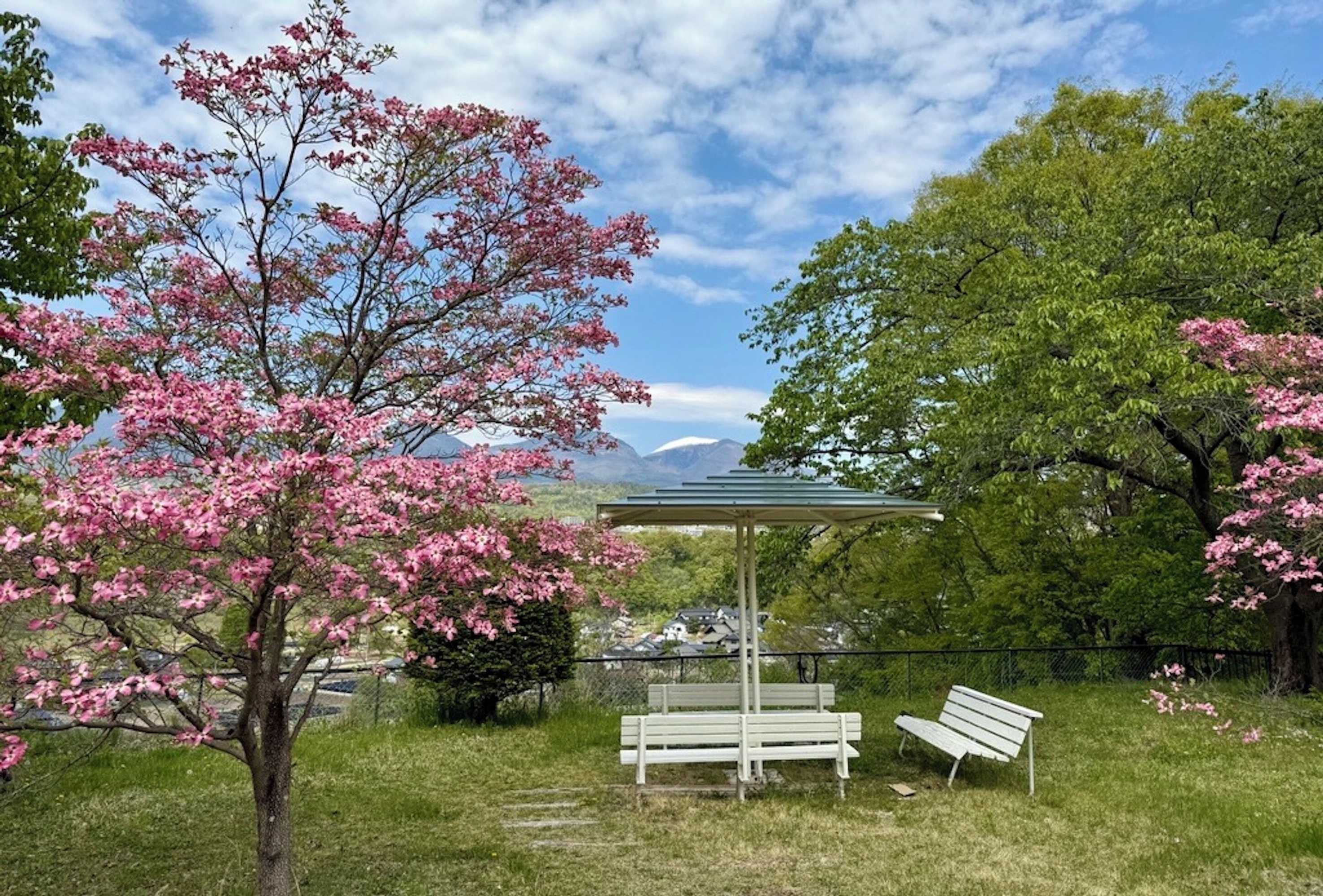 Gift card for Nunobikionsen Komoro