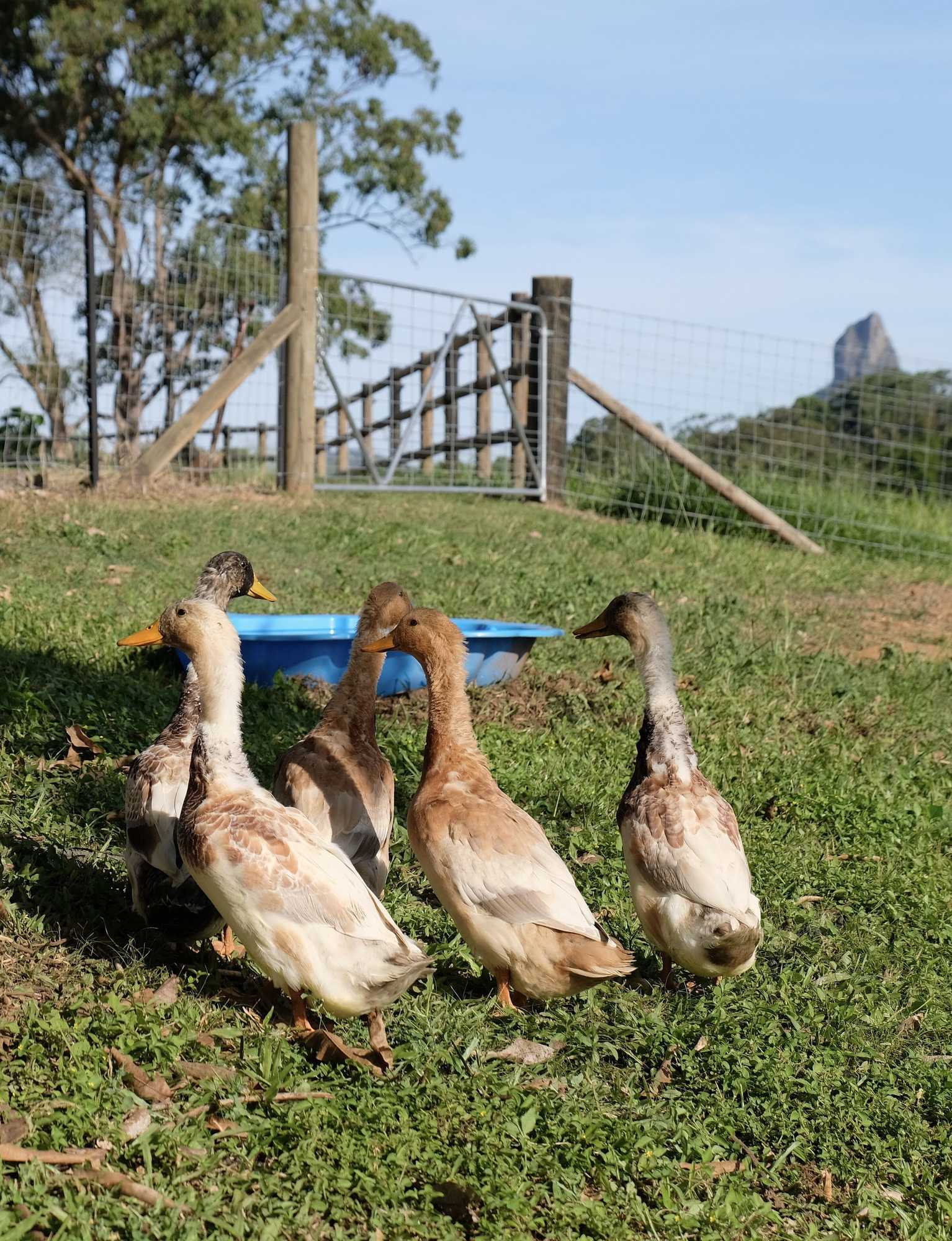 Gift card for Seven Peaks Farm Stay