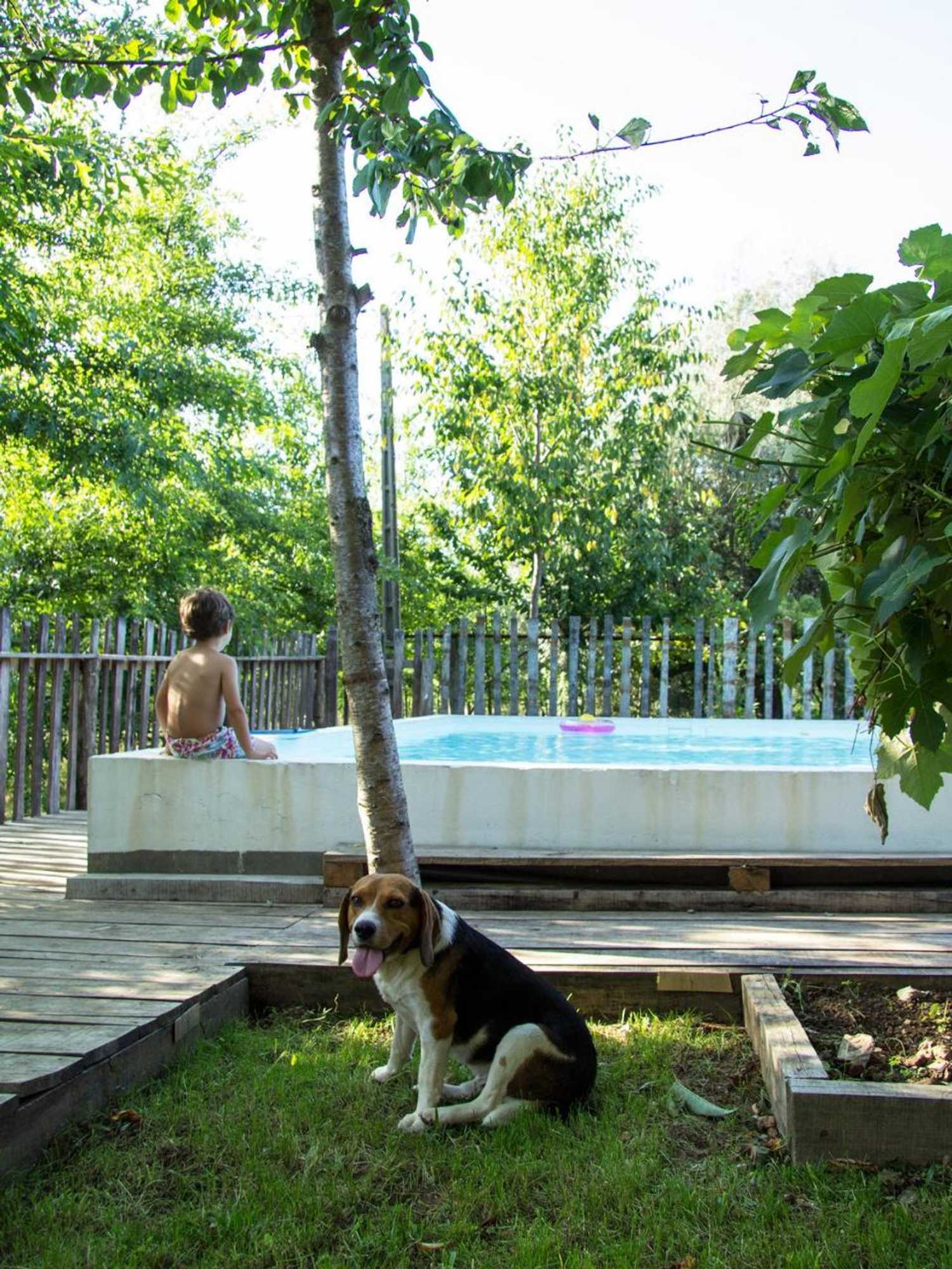 Gift card for Laranjalimão