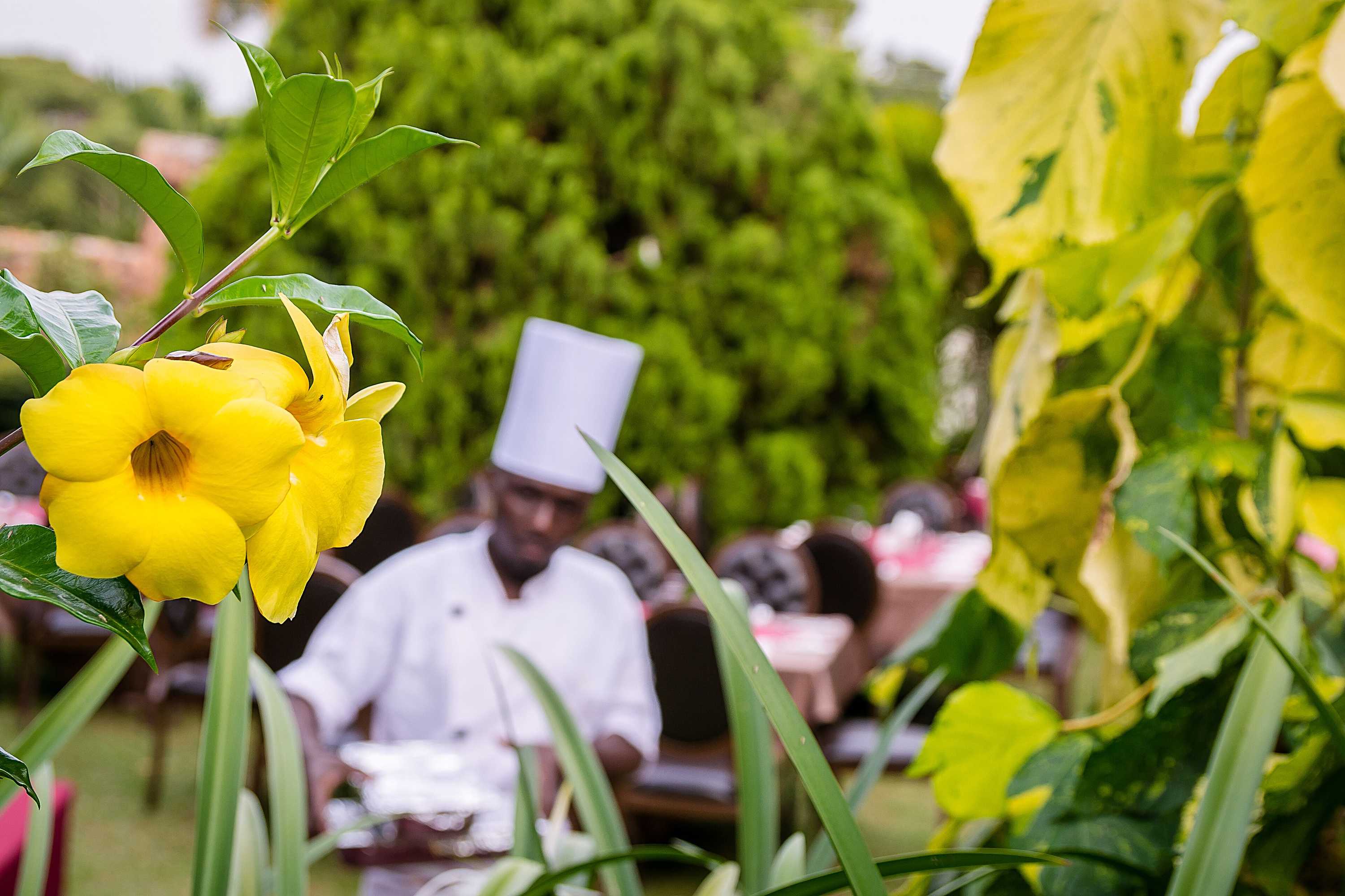 Gift card for Imperial Heights Hotel, Entebbe Gift card for Imperial Heights Hotel, Entebbe