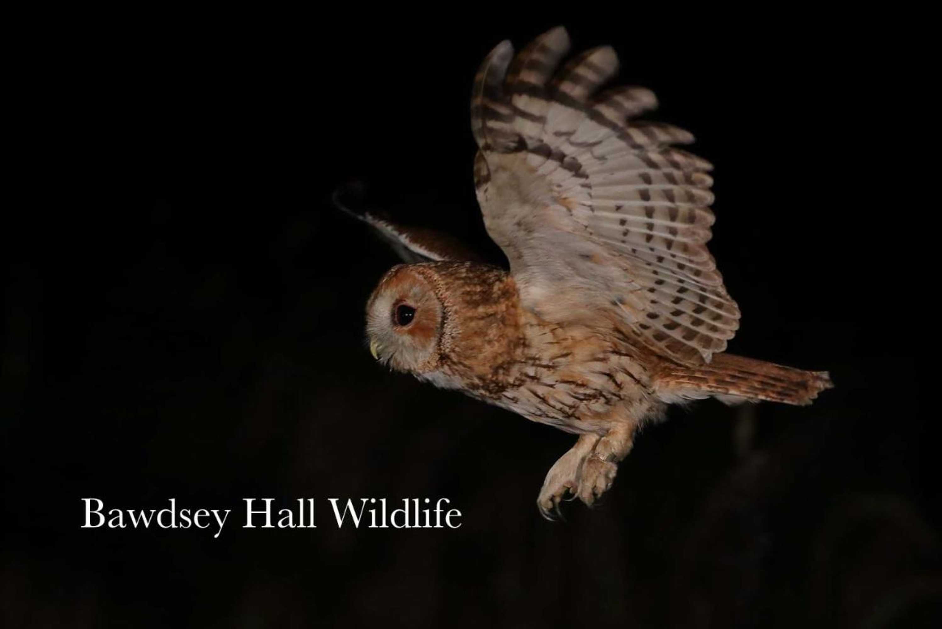 Gift card for Bawdsey Hall