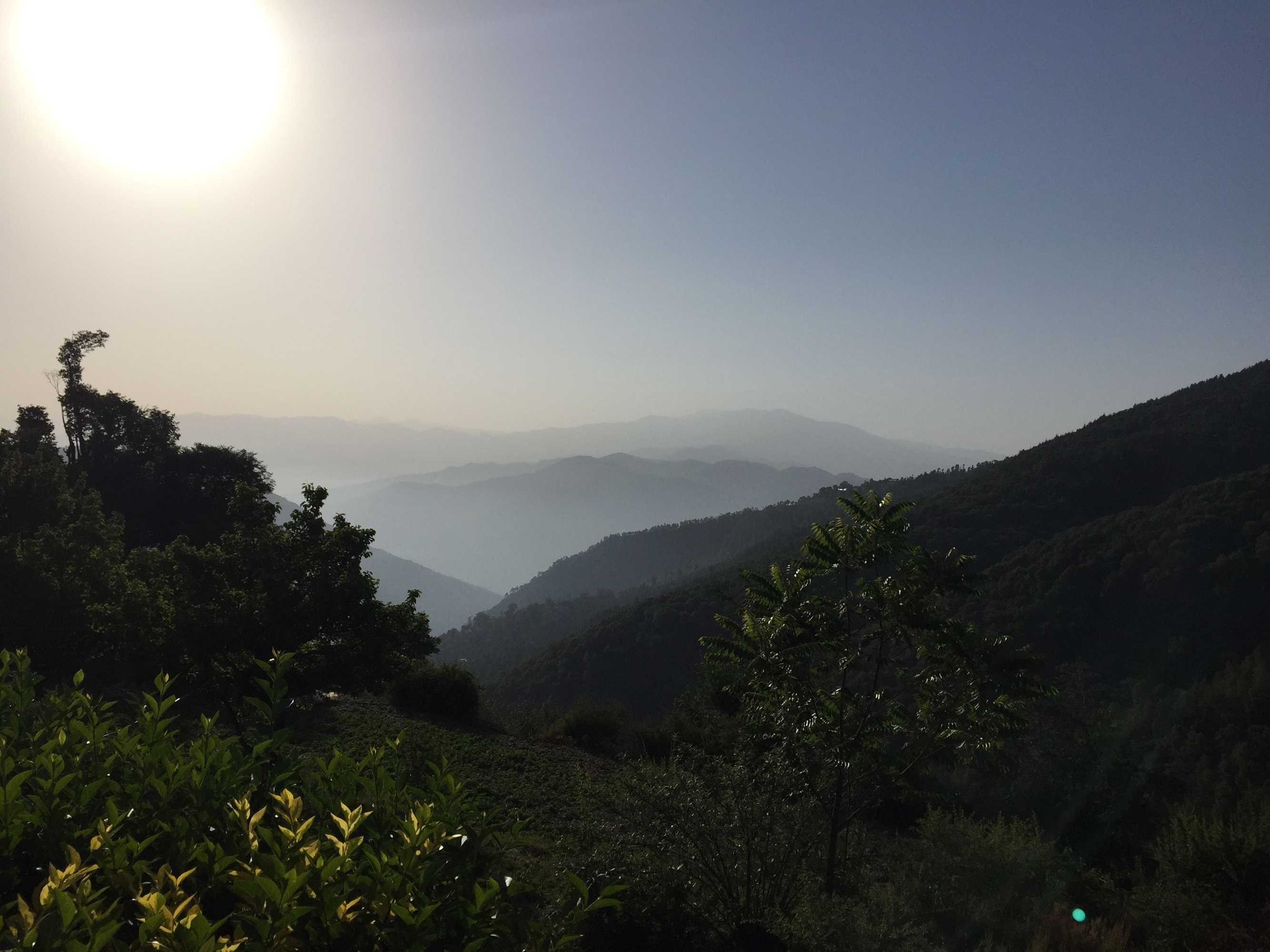 Gift card for The Ayali Fernhill Resort, Chail Gift card for The Ayali Fernhill Resort, Chail