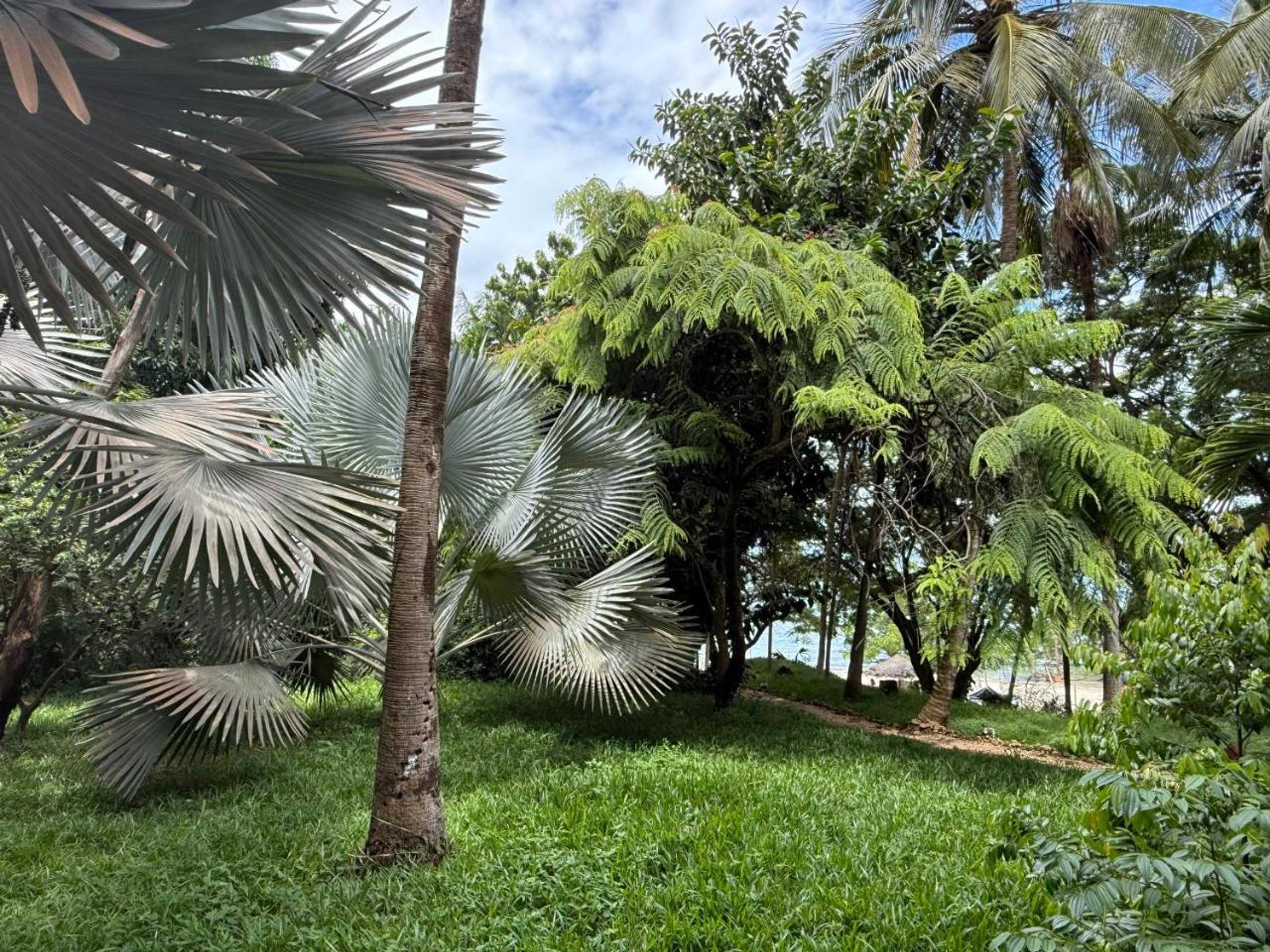 Gift card for Mbweni Ruins & Gardens