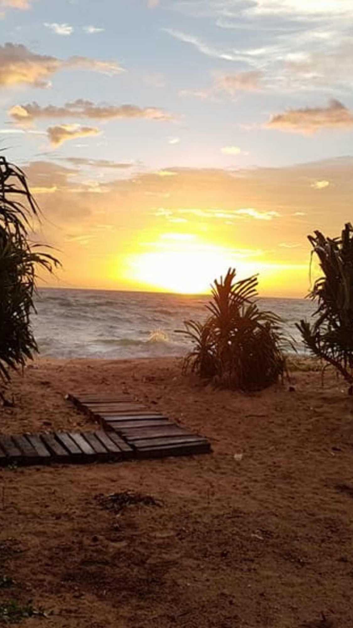 Gift card for White Sand Villa Hikkaduwa Gift card for White Sand Villa Hikkaduwa