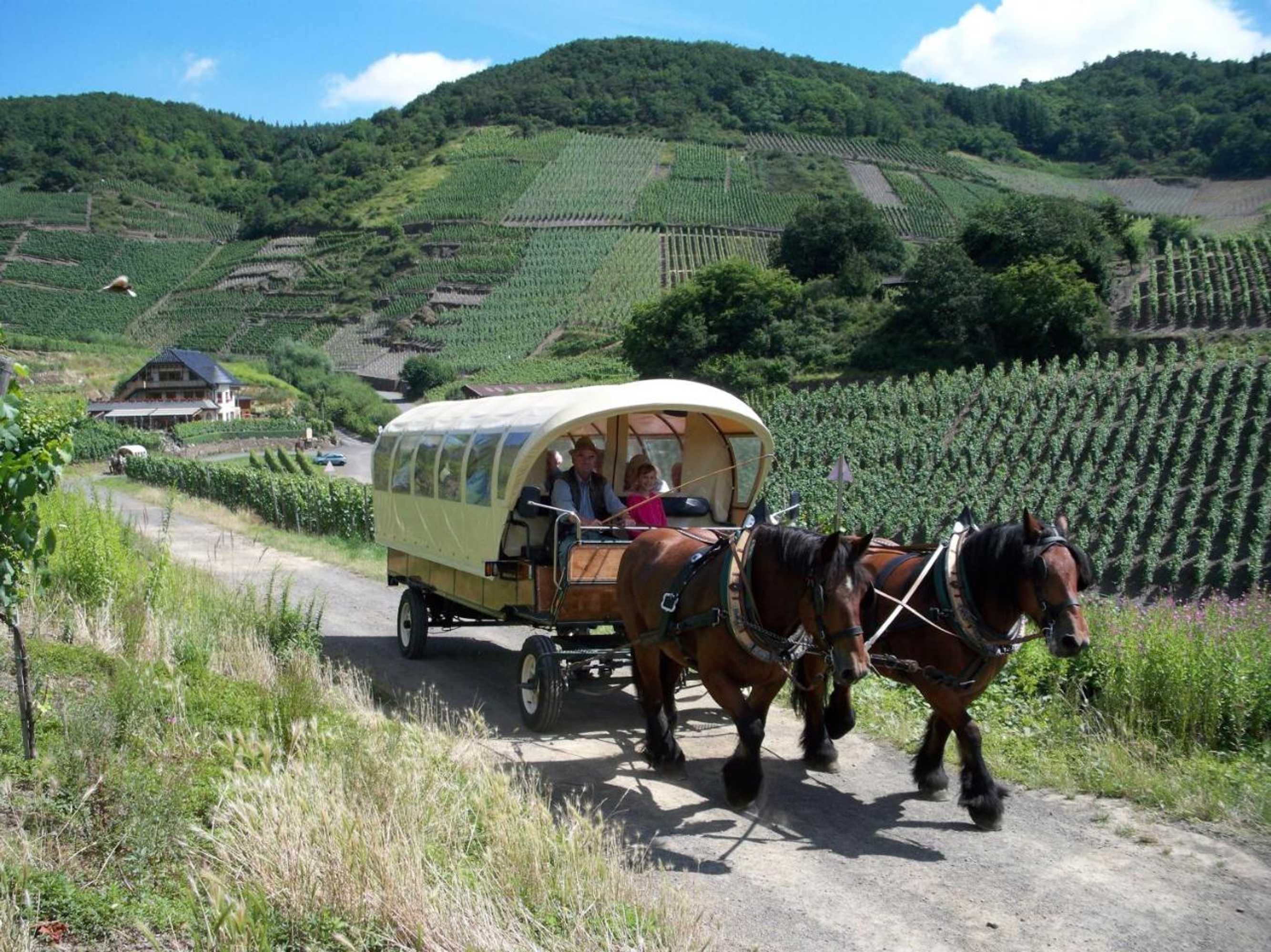 Gift card for Hotel Pinger