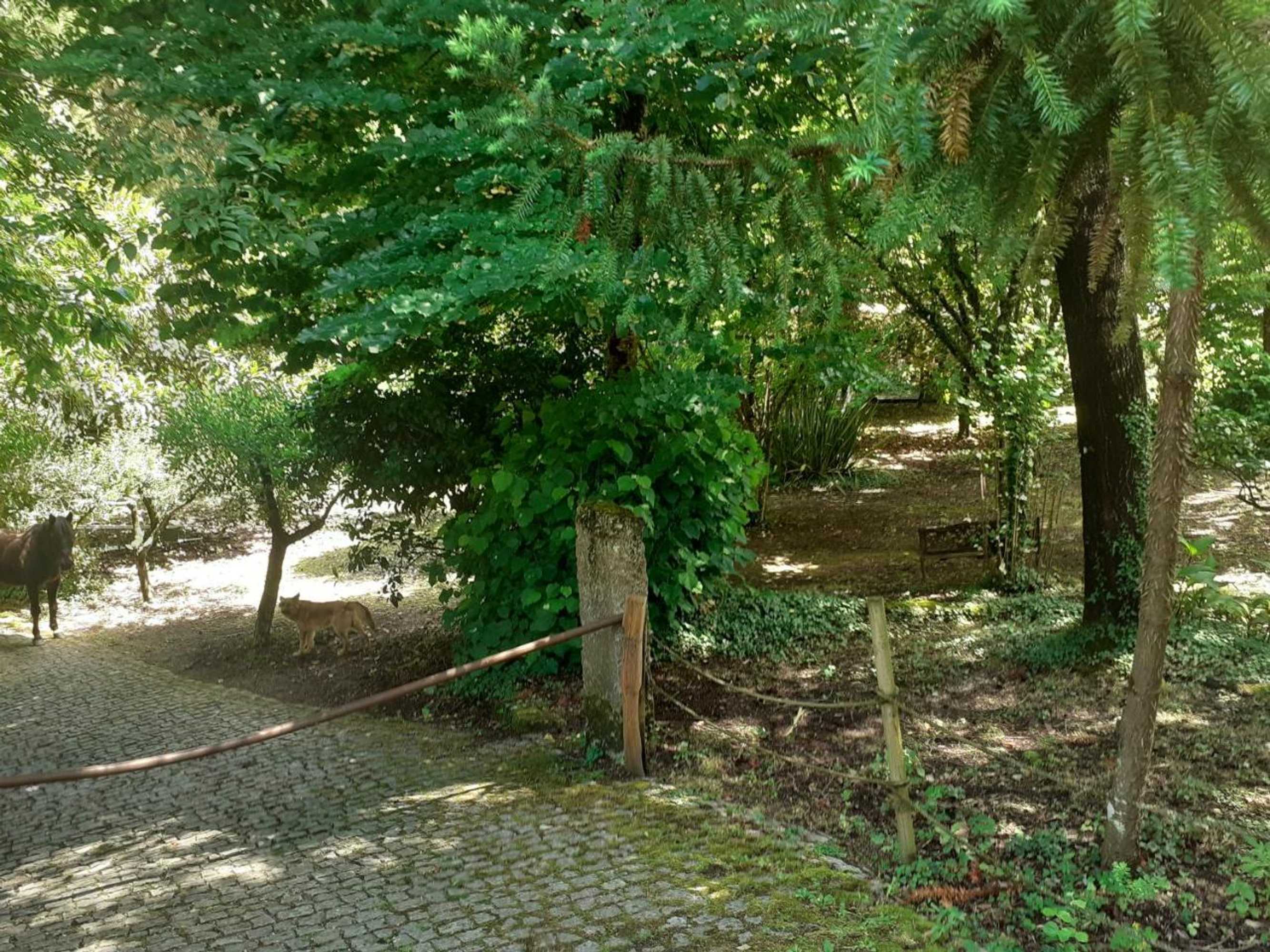 Gift card for Cabana da Oliveira Gift card for Cabana da Oliveira