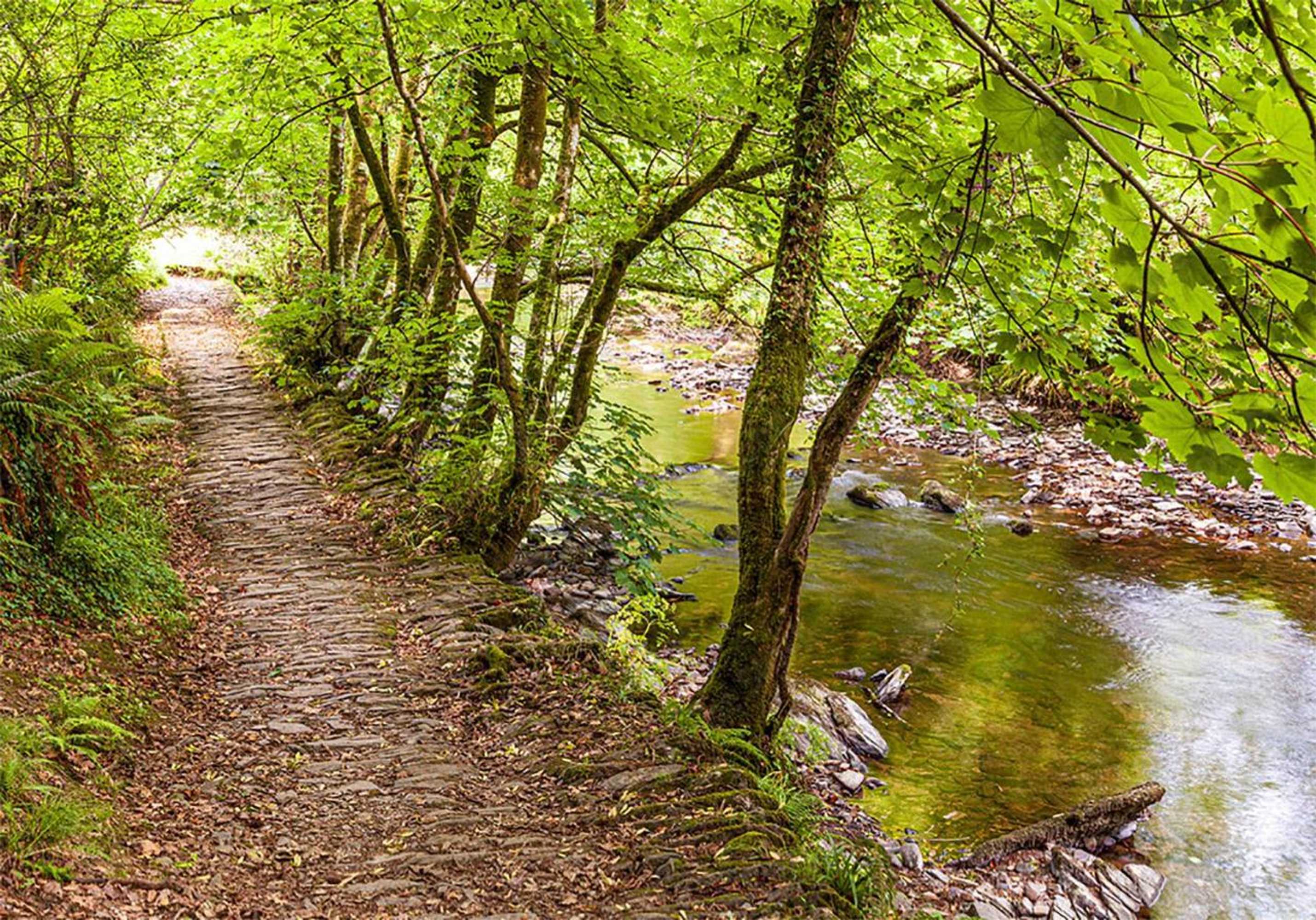 Gift card for Alder Cottage