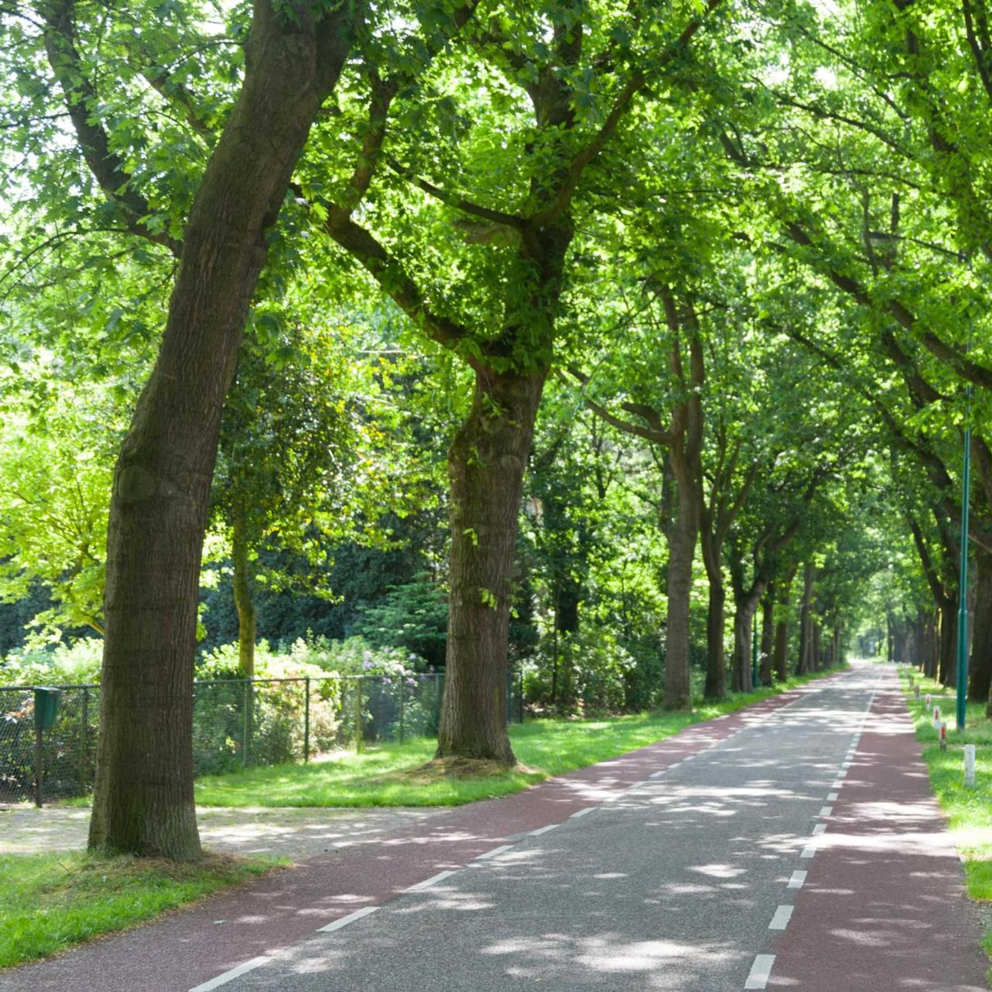 Gift card for Hotel de Naaldhof