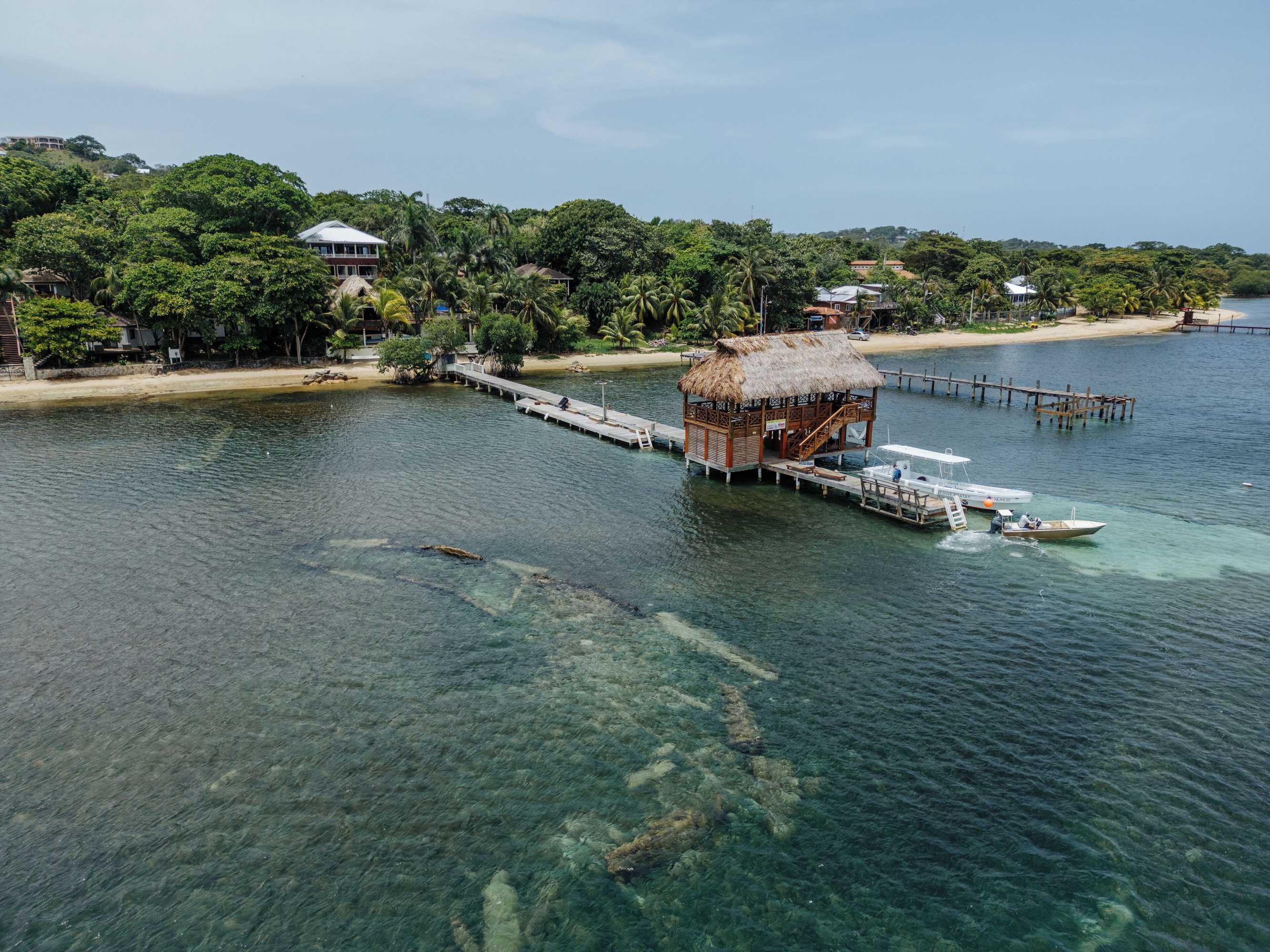 Gift card for Tranquilseas Eco Lodge & Dive Center Gift card for Tranquilseas Eco Lodge & Dive Center
