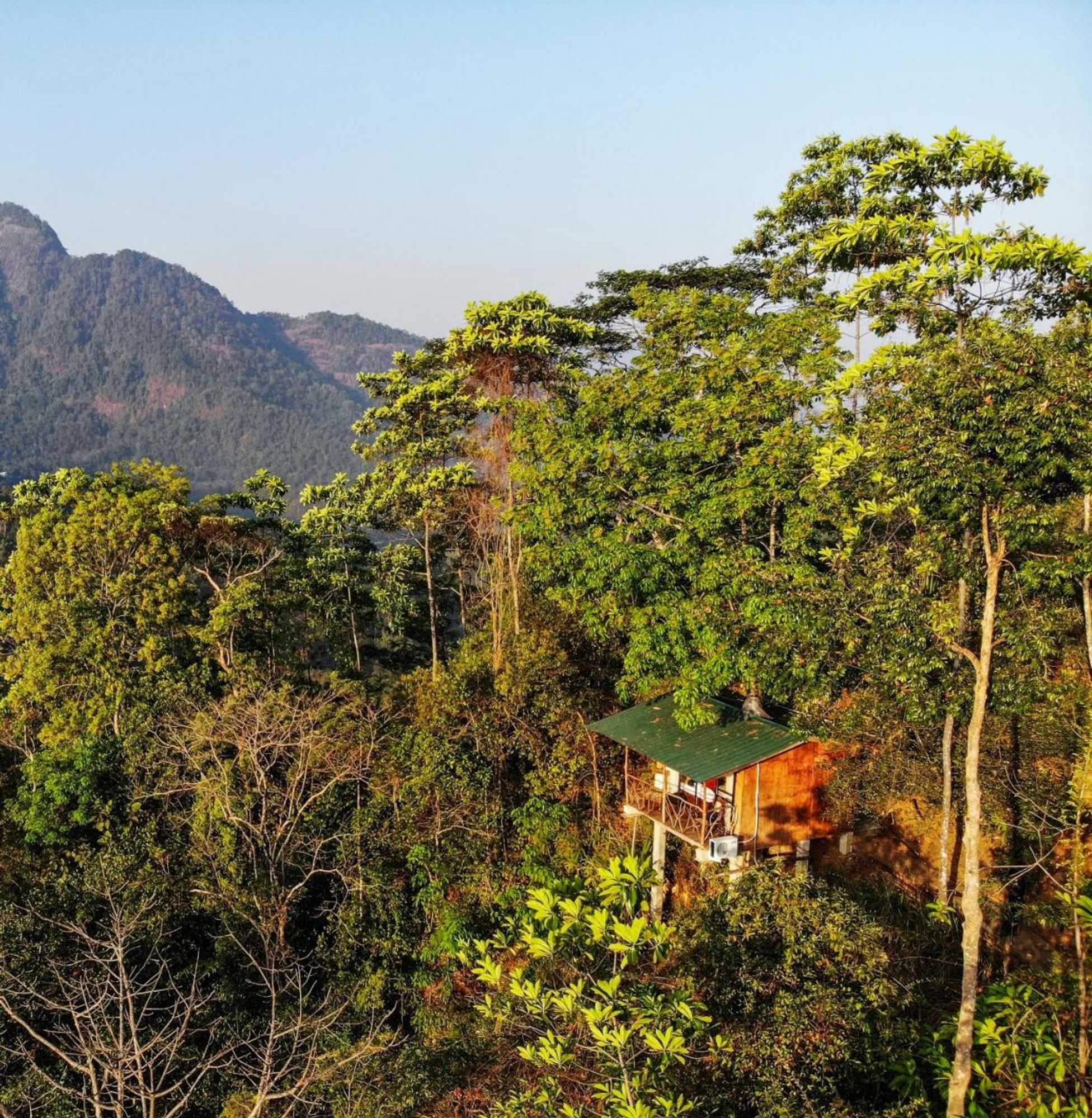 Gift card for Tree Houses by Jungle River